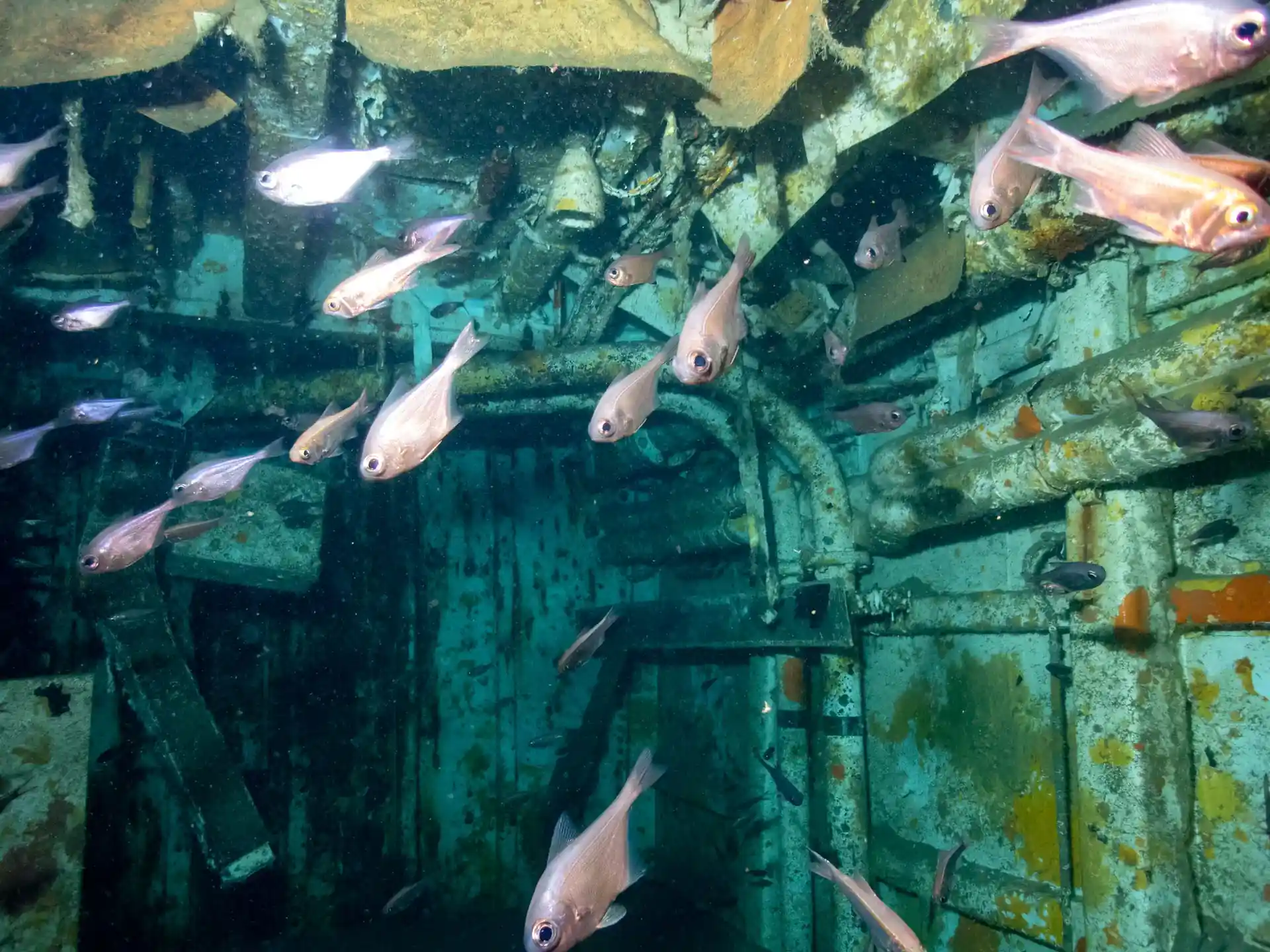 Dive site photo