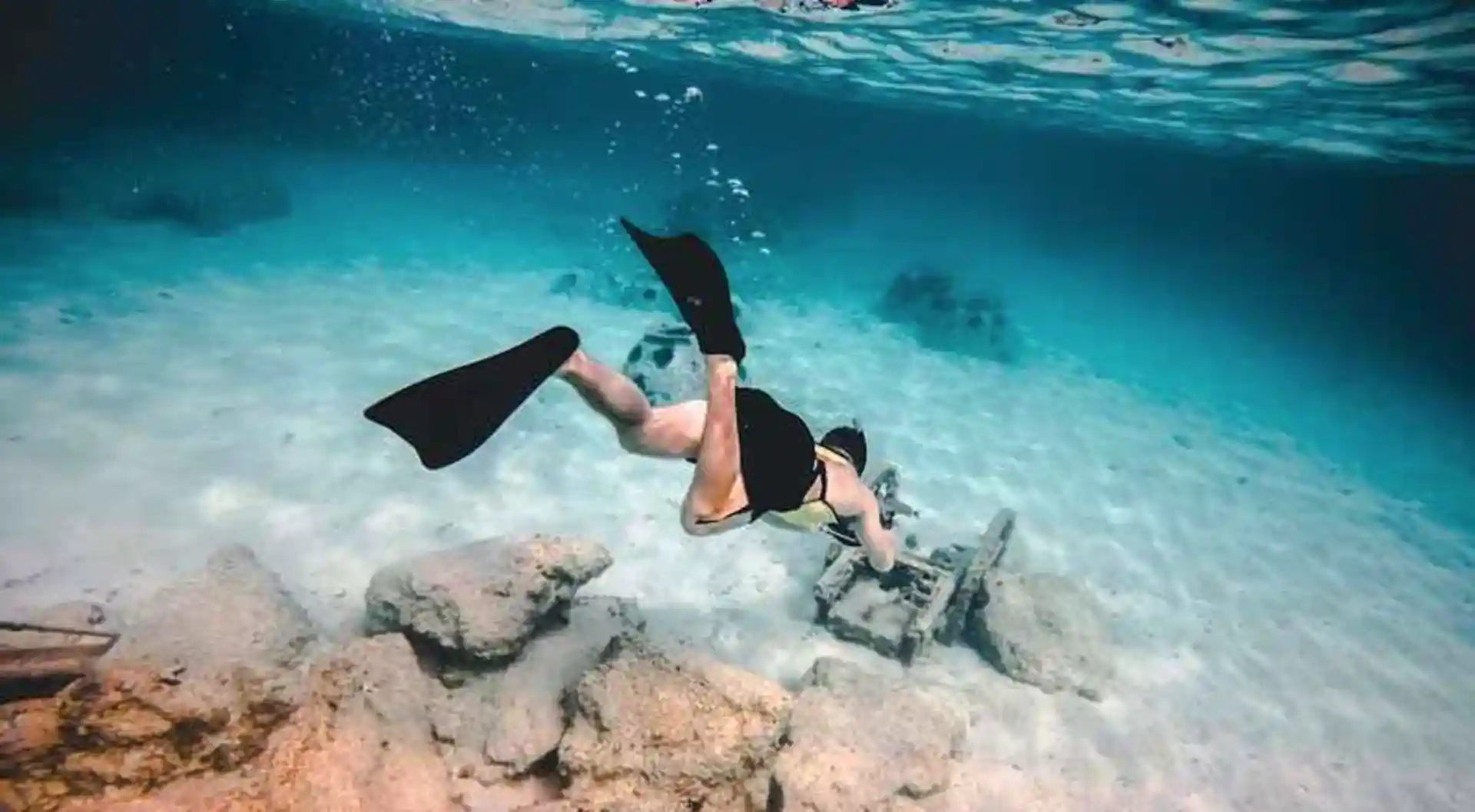 Photo de l'activité