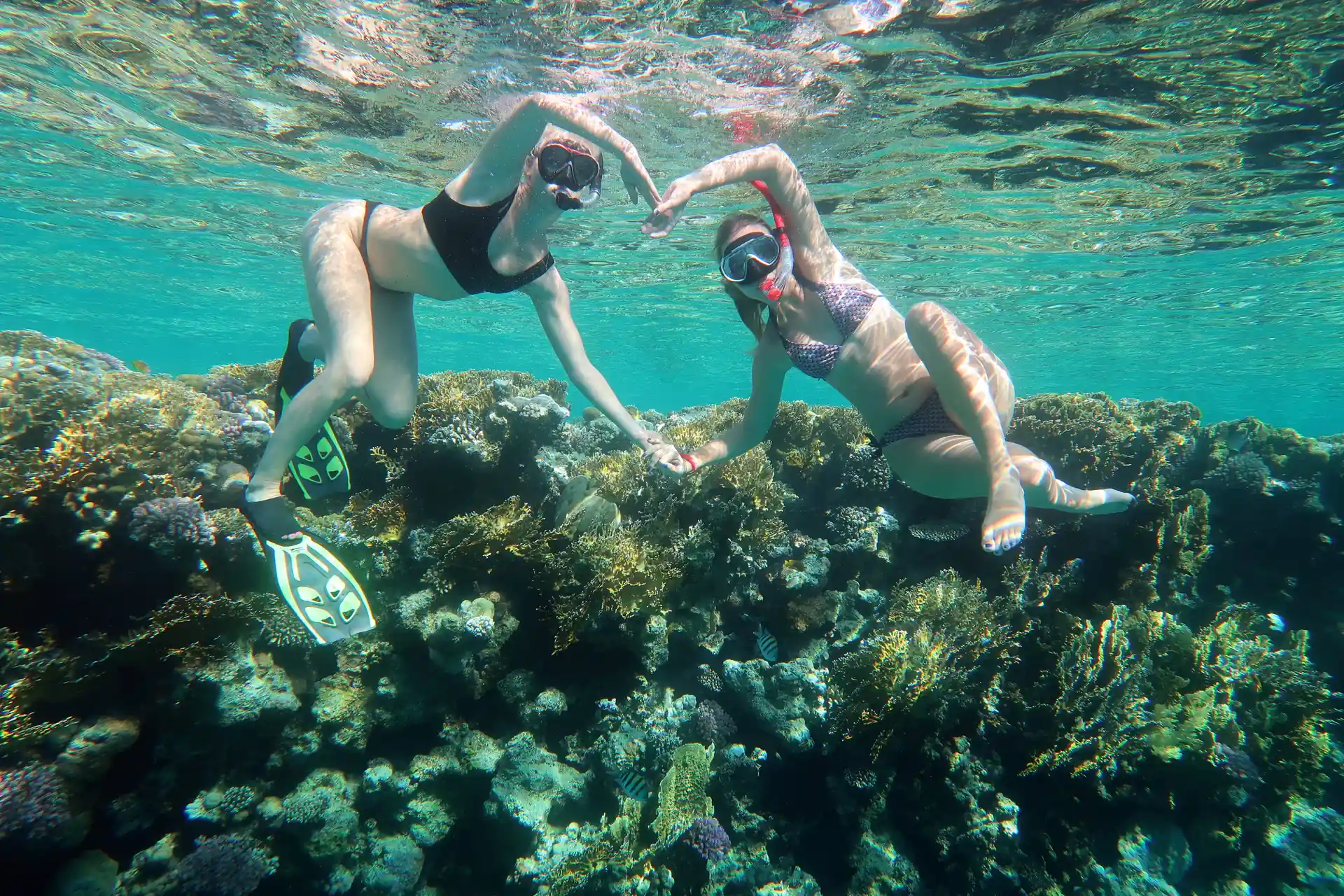 Enjoy professional photos and videos both above and under the water.