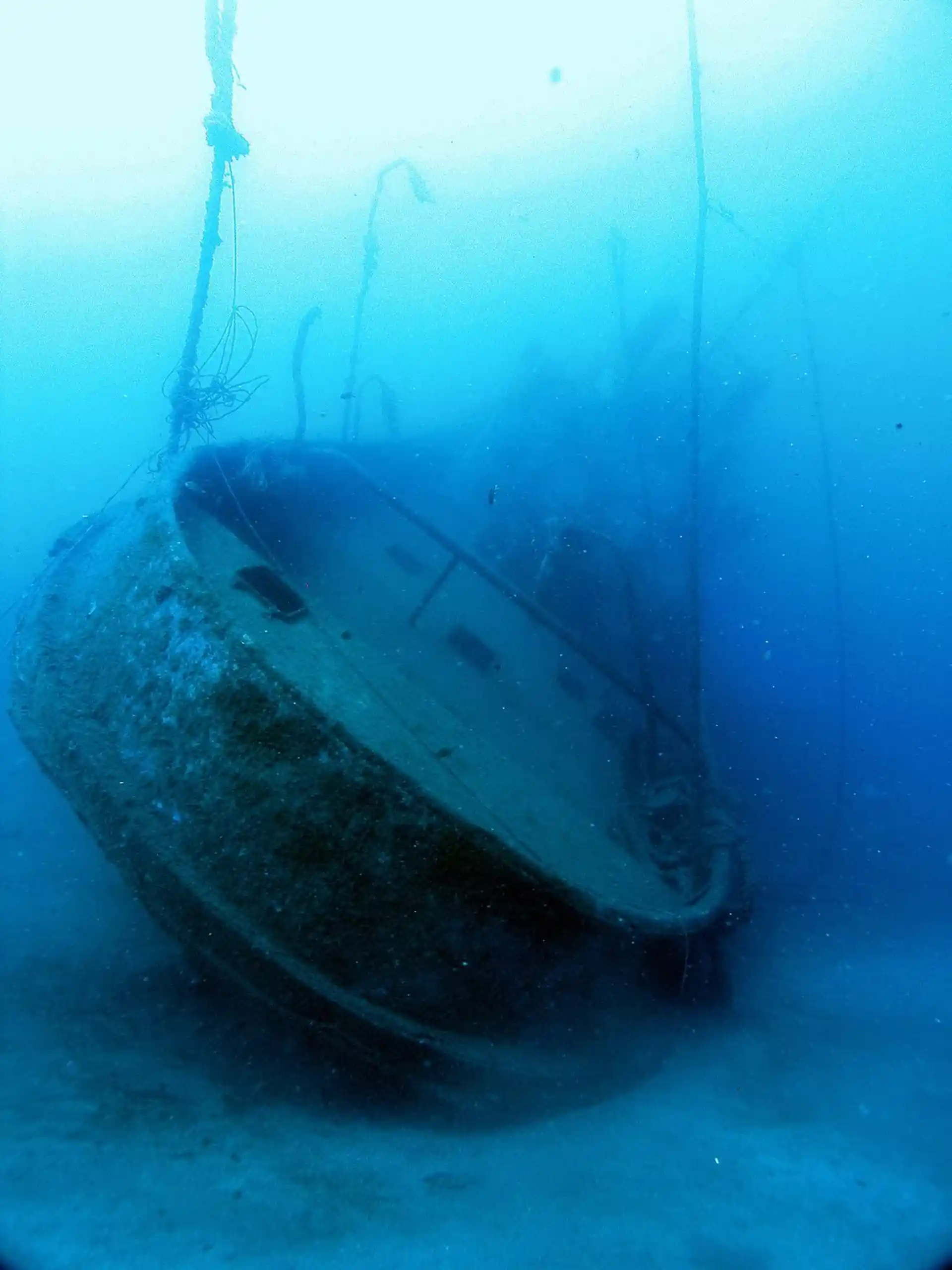 Dive site photo