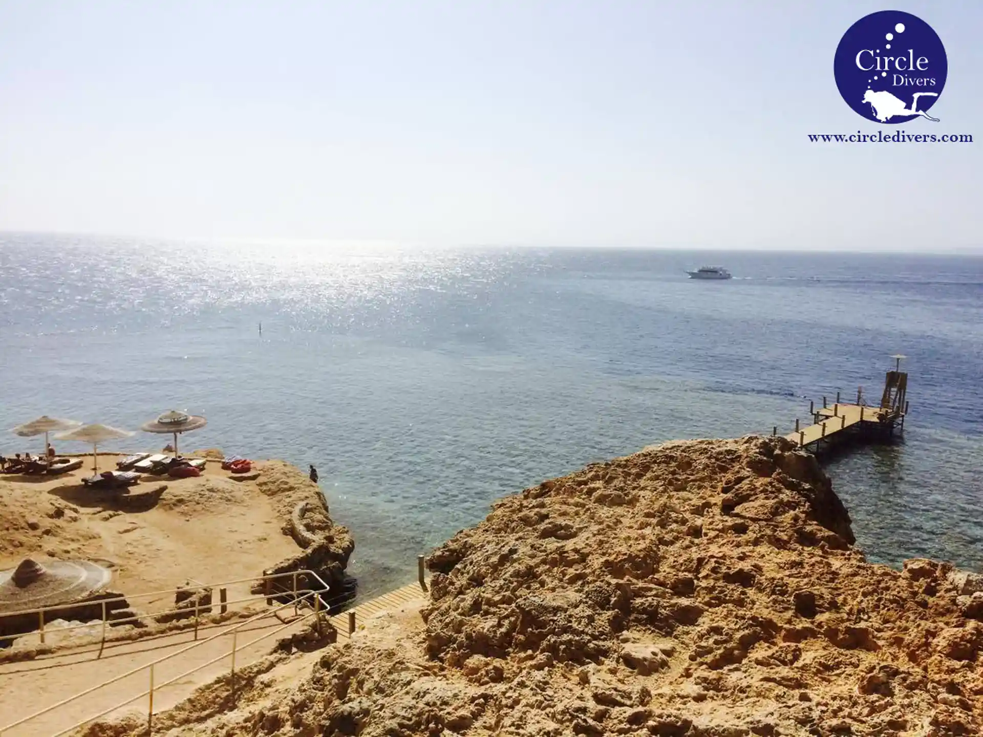 Photo de l'activité