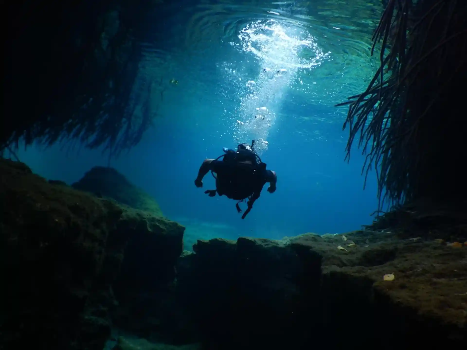 Dive site photo