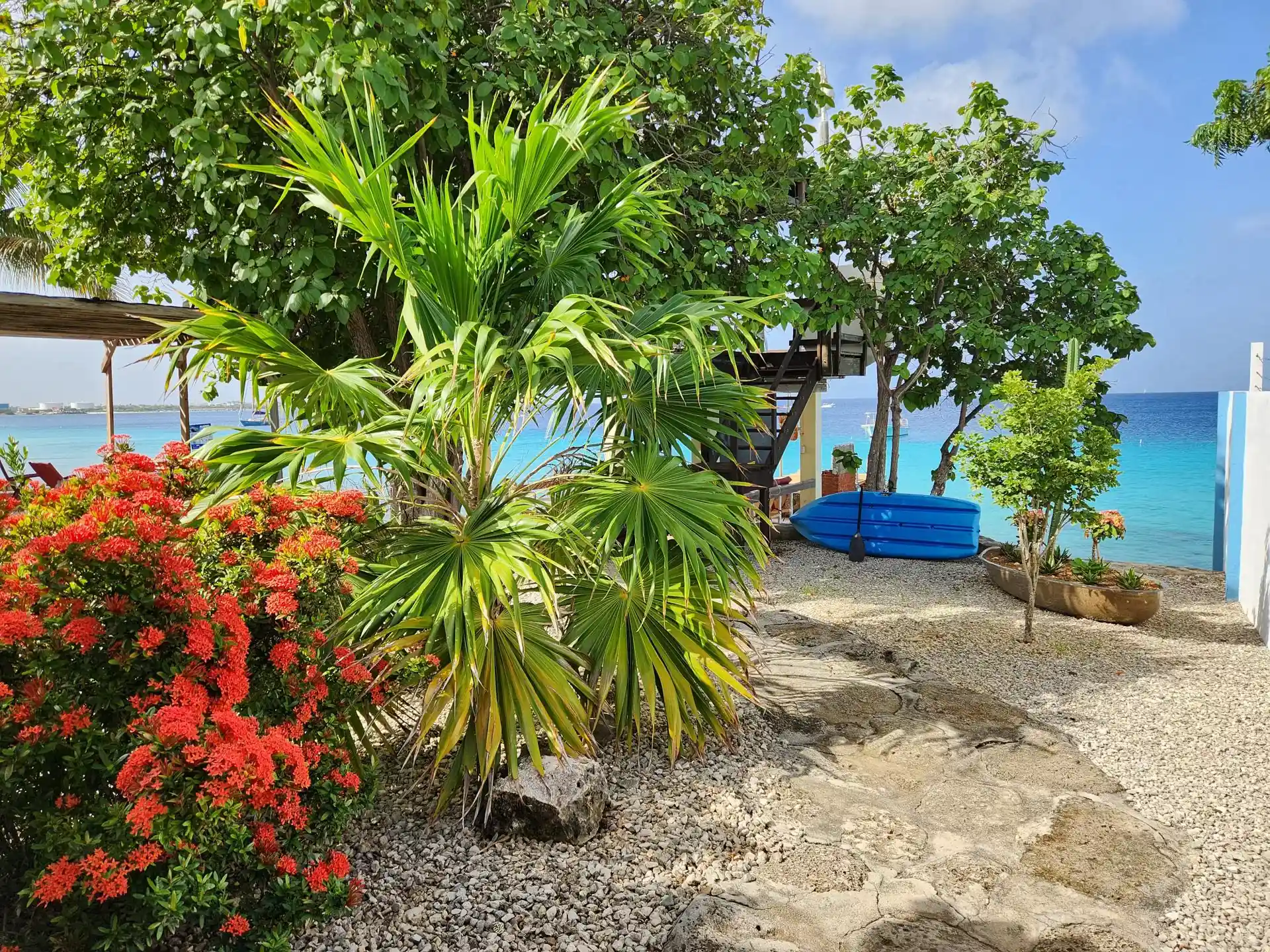 Dive shop photo