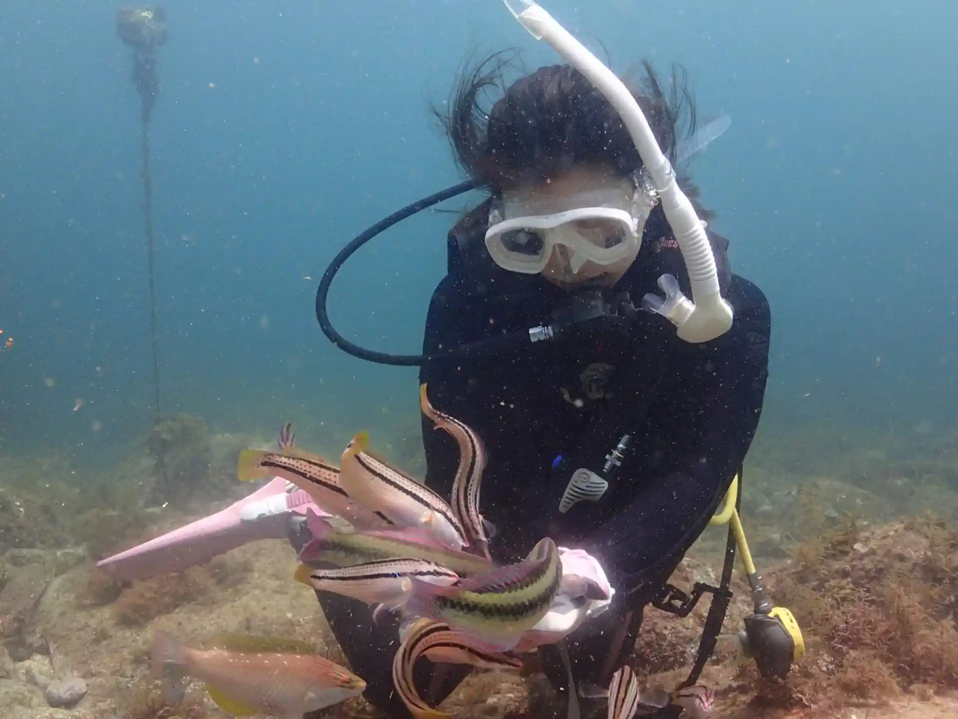 Dive site photo