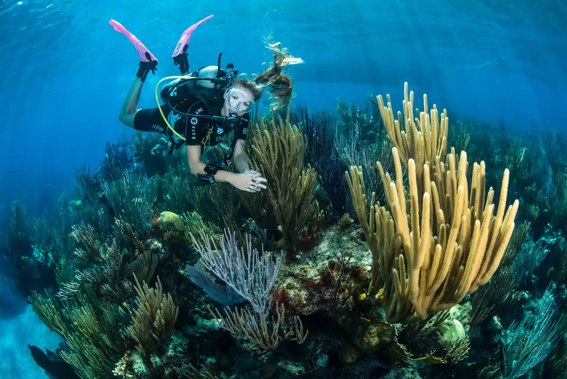 Dive site photo