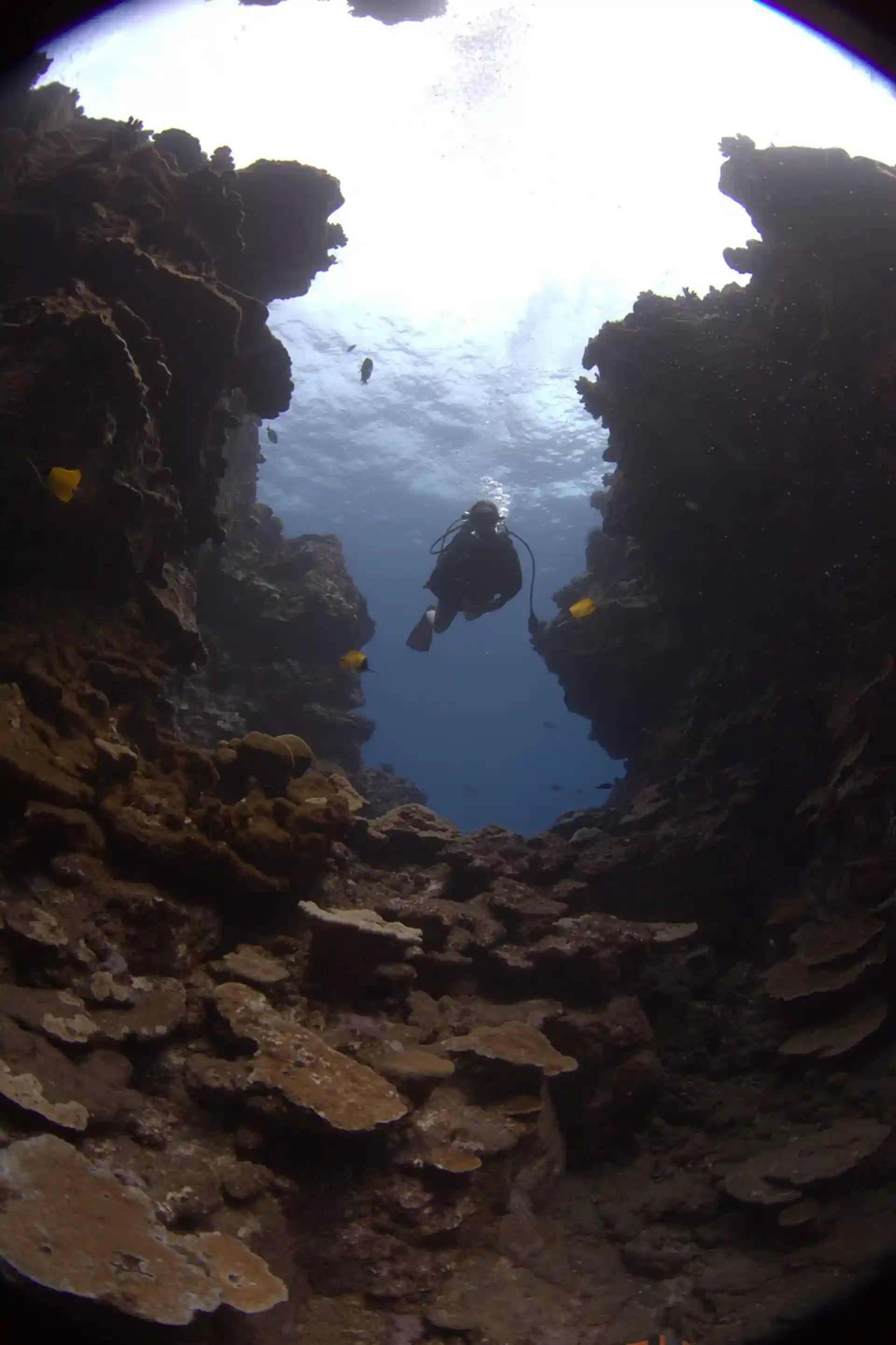 Dive site photo