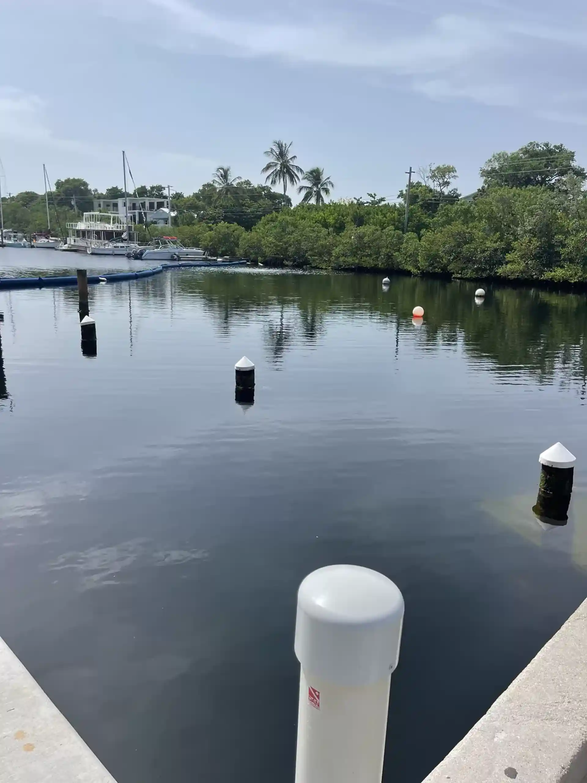 Dive site photo