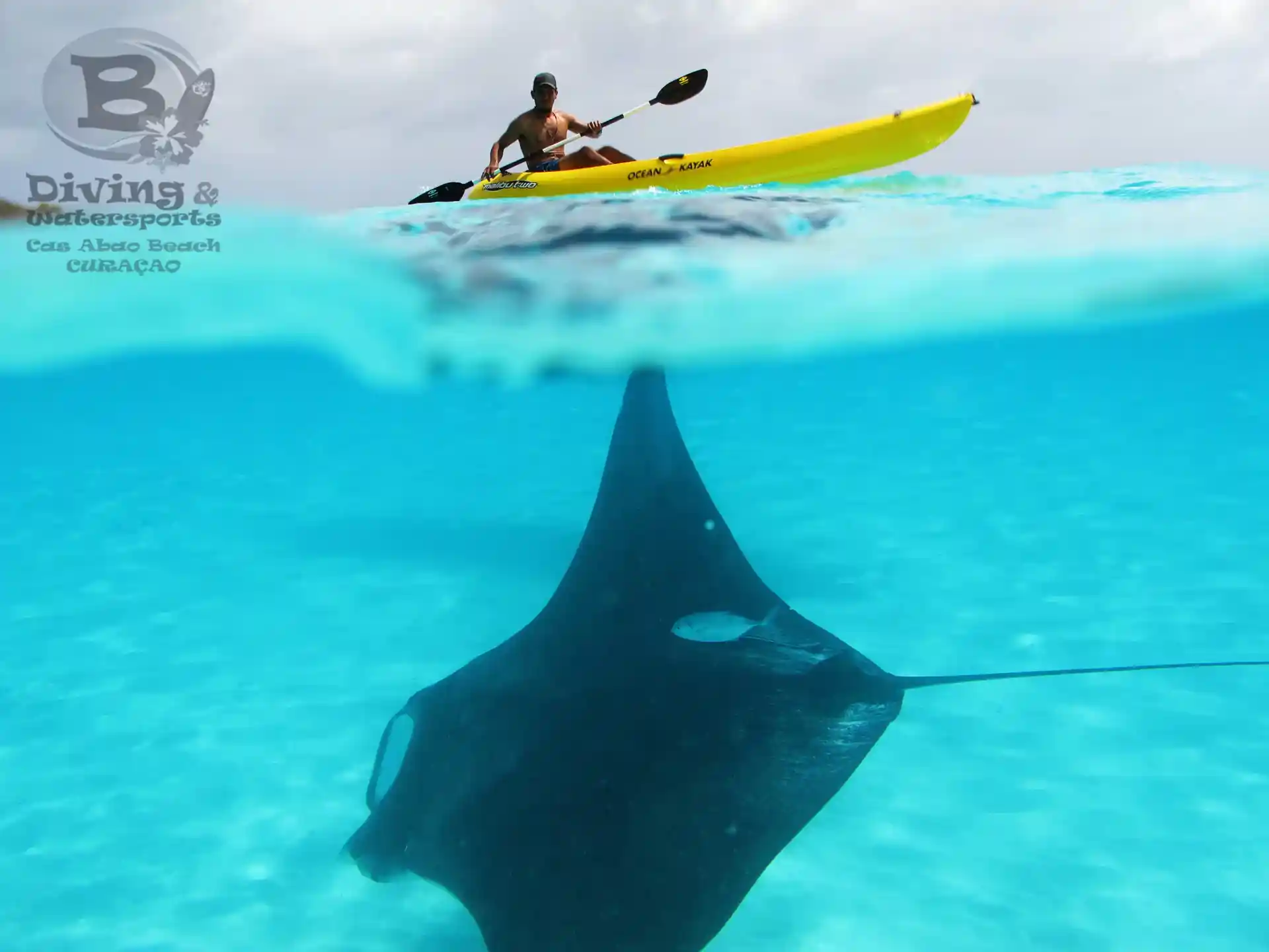 Dive shop photo