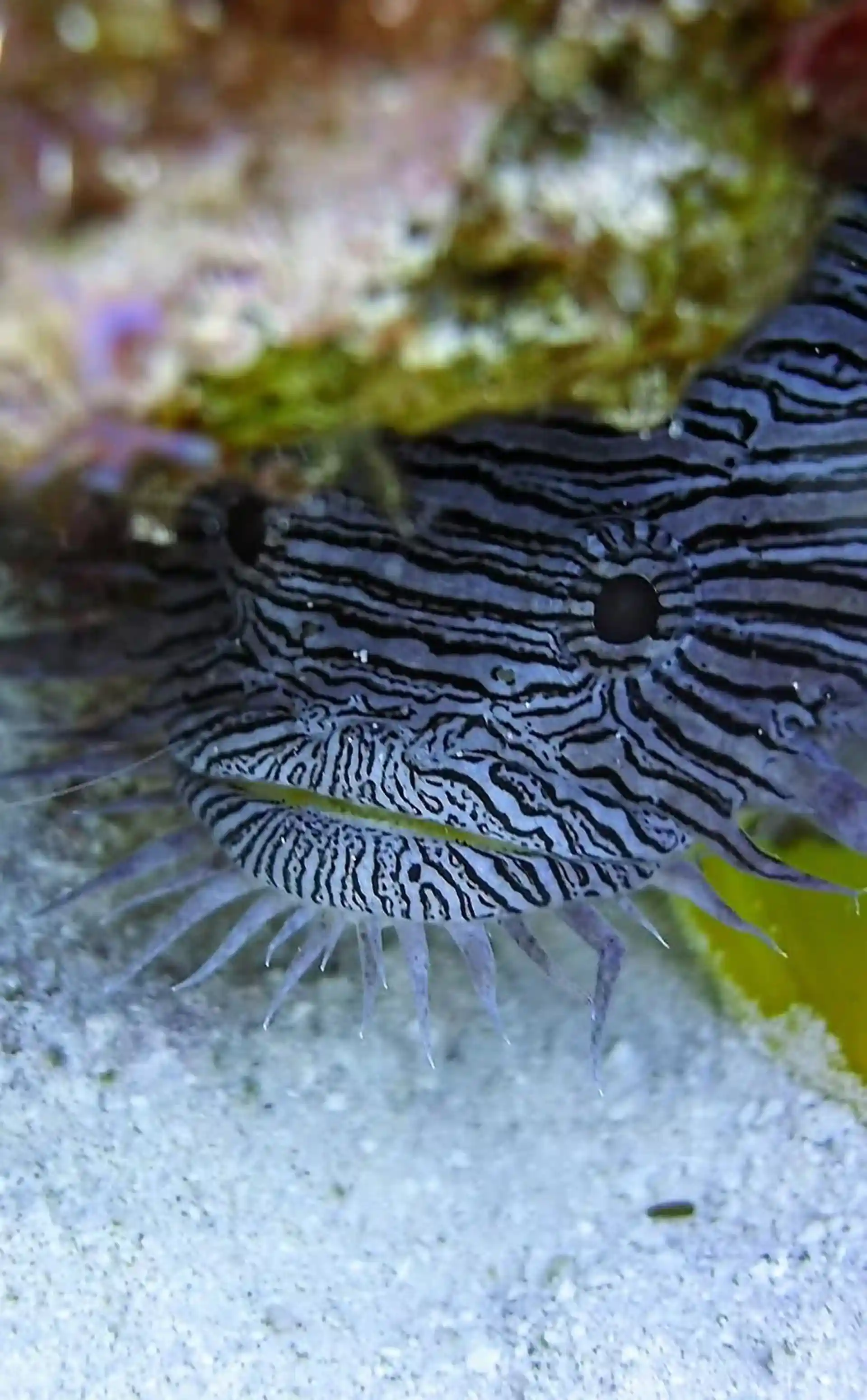 Dive shop photo