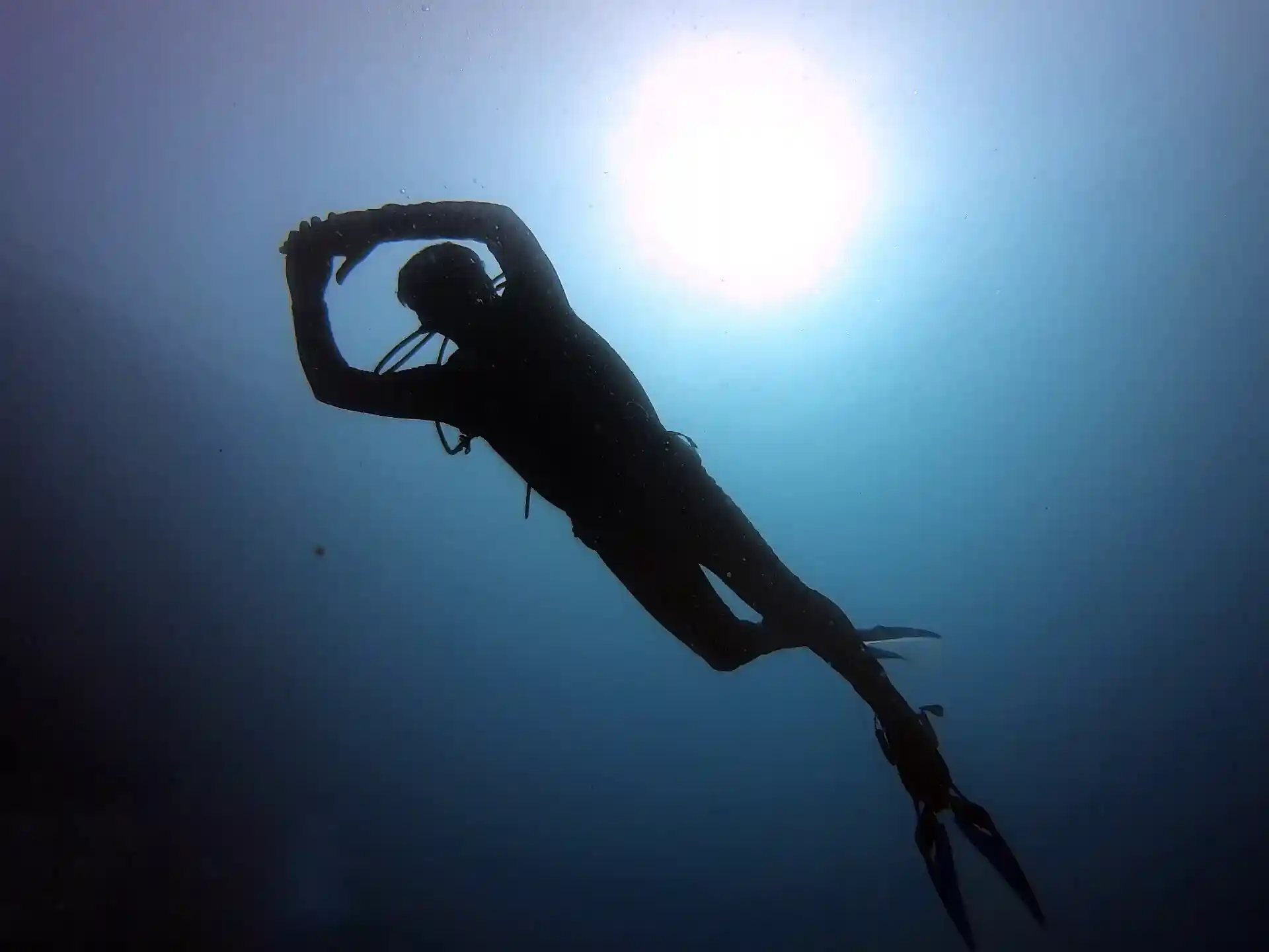 Photo de l'activité