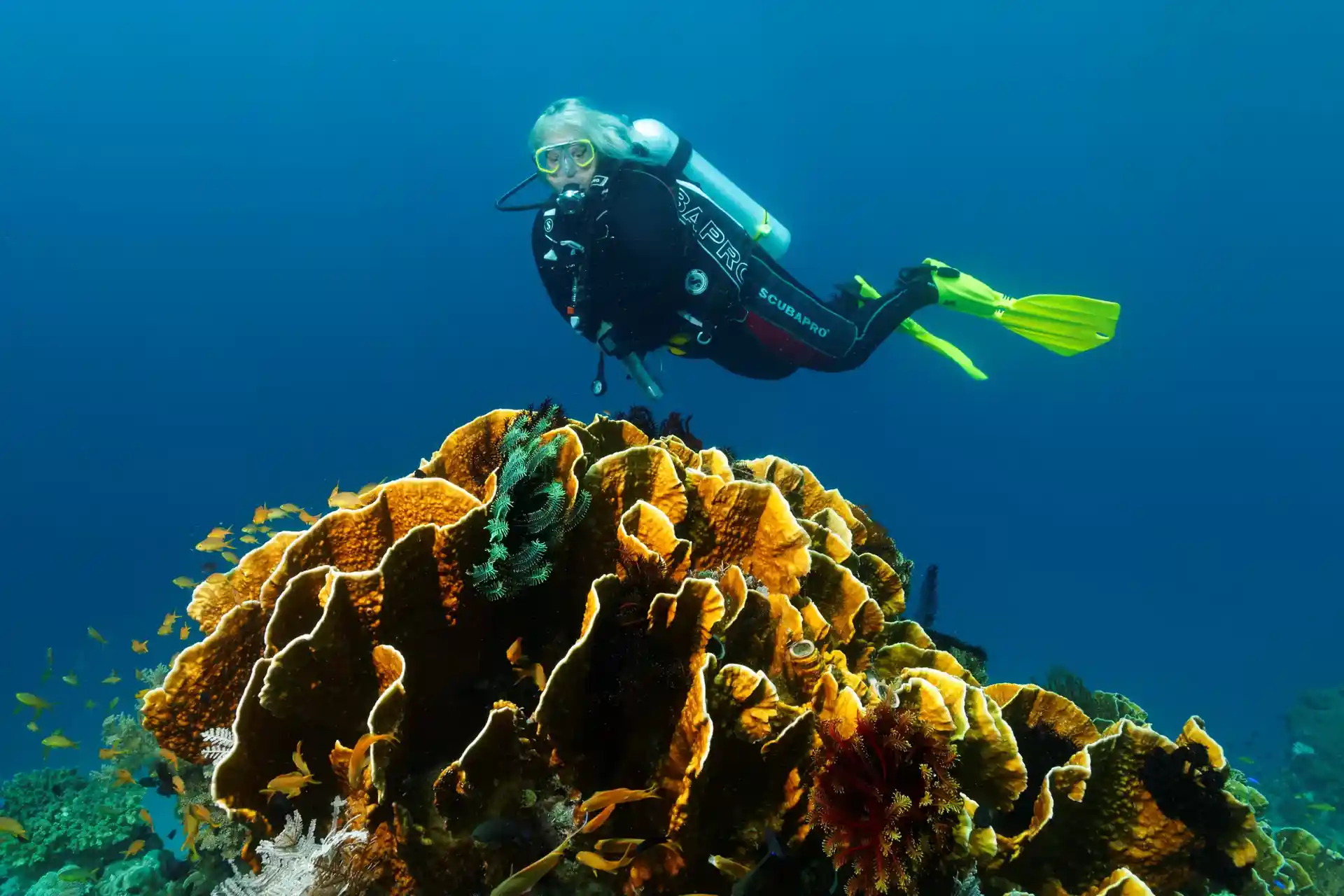 Dive site photo
