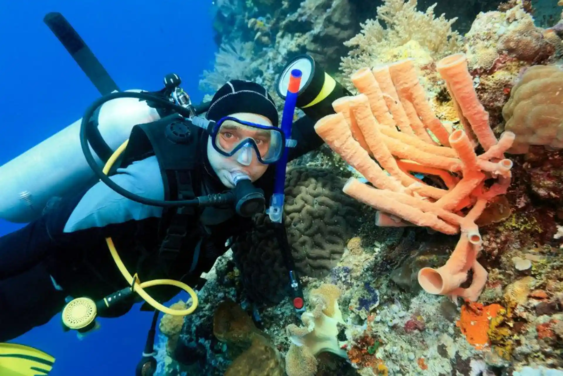 Dive shop photo