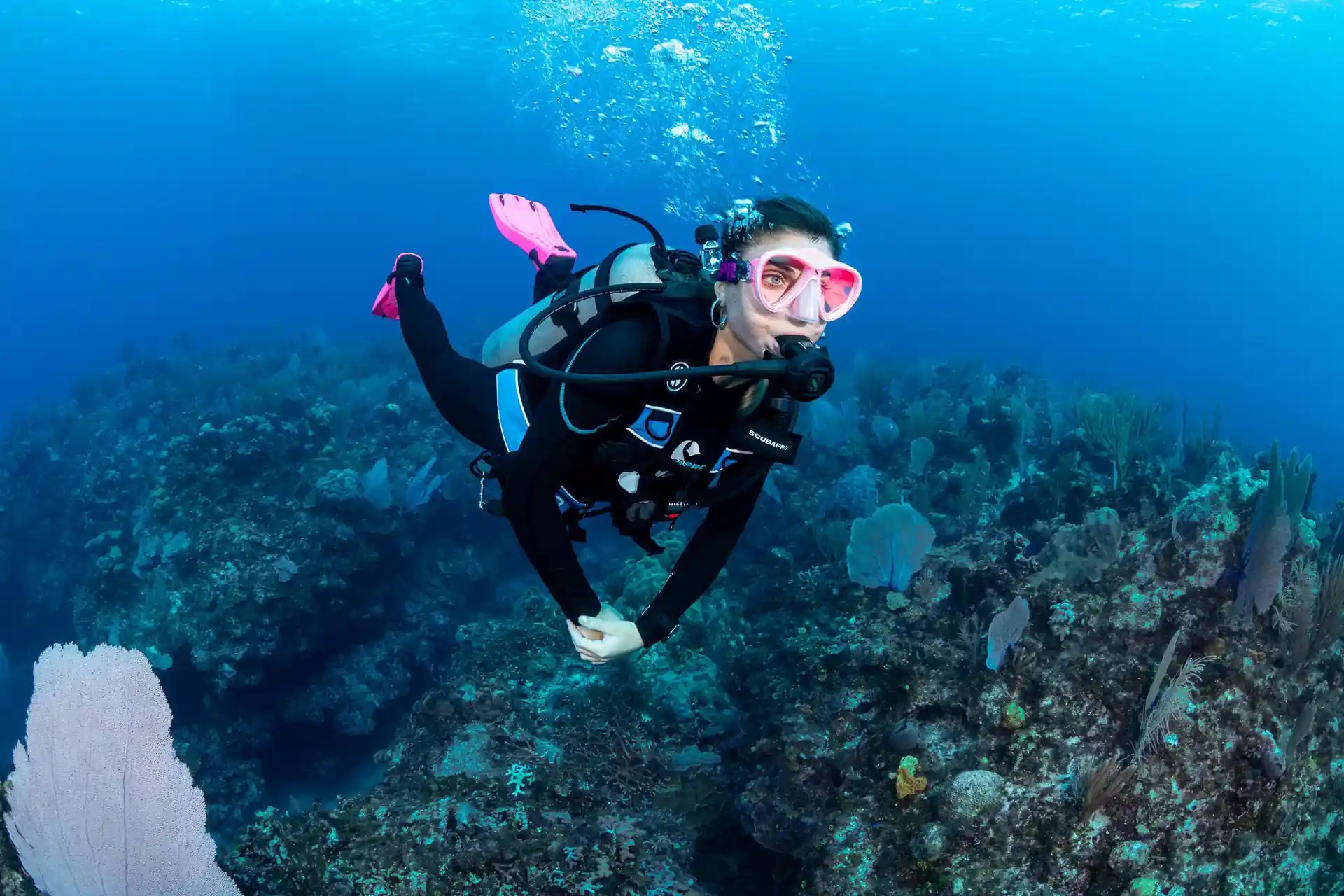 Dive site photo