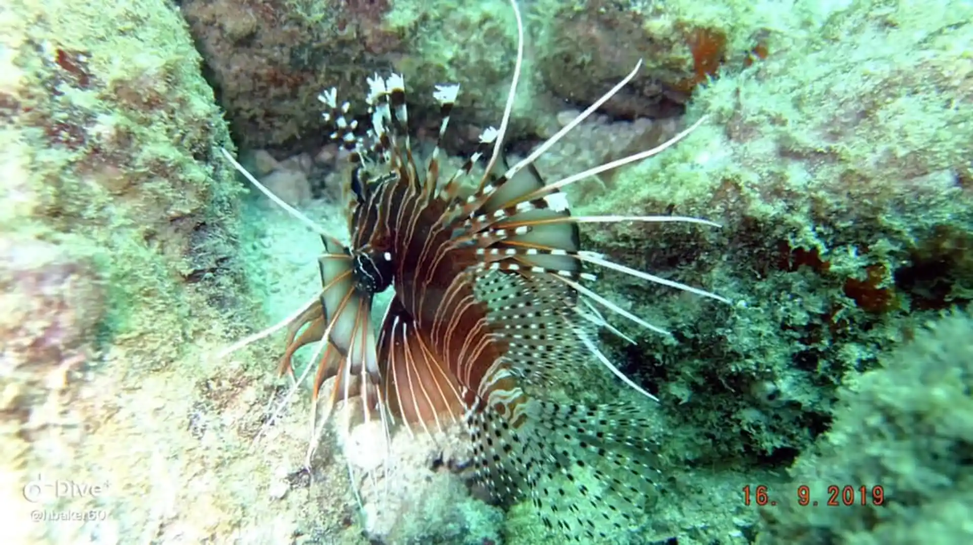 Dive site photo