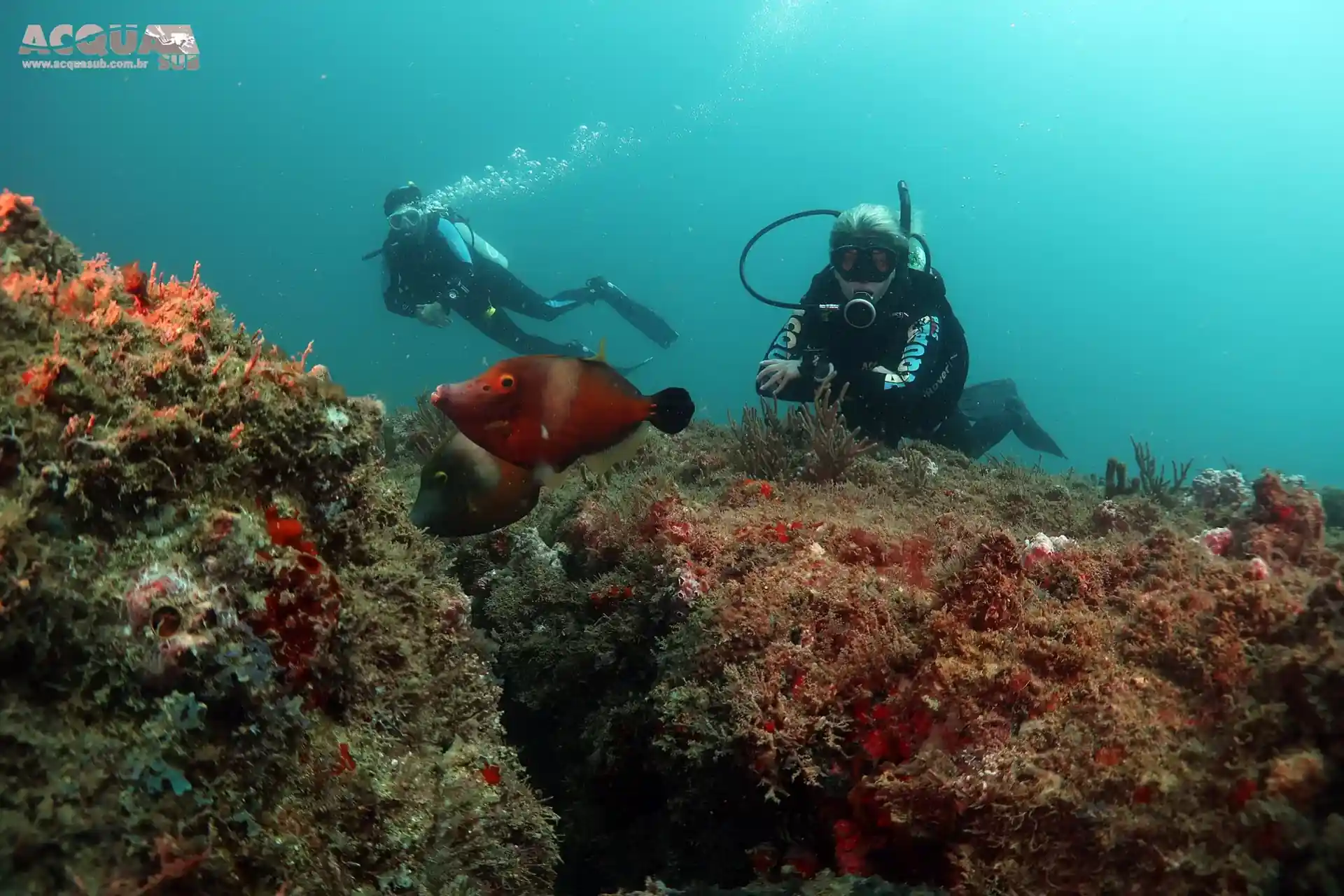Dive site photo