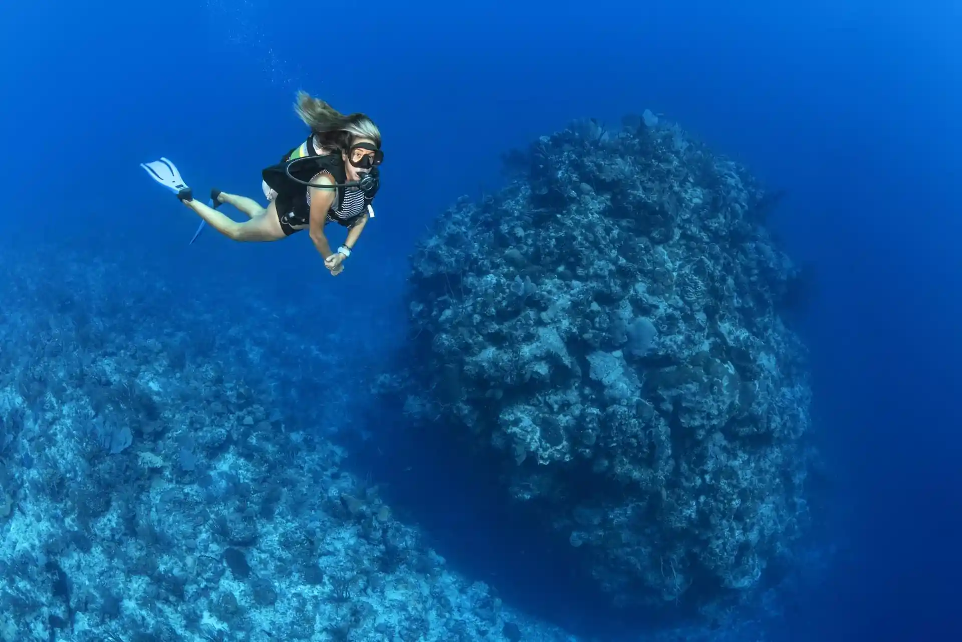 Dive site photo