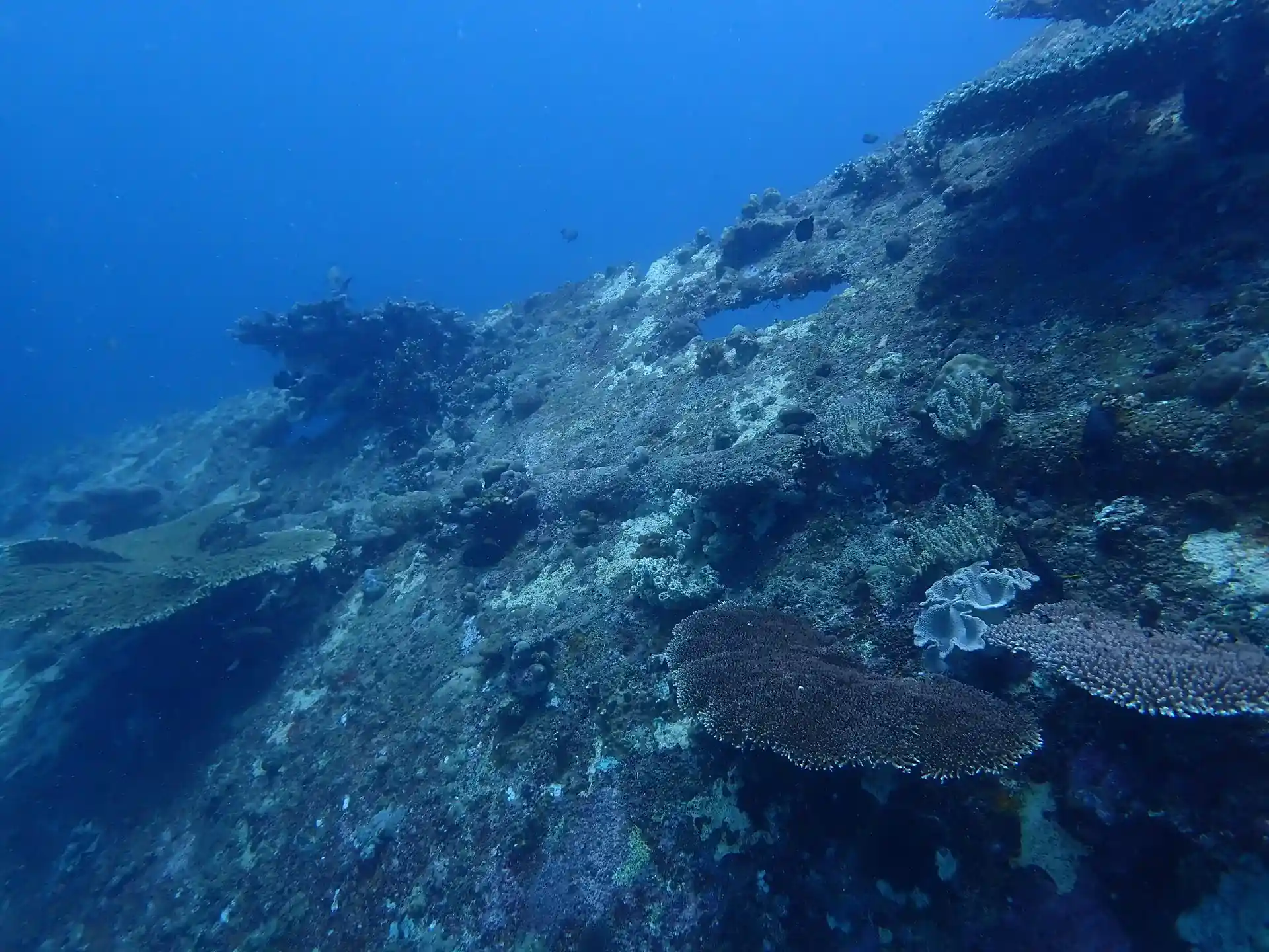 Dive site photo
