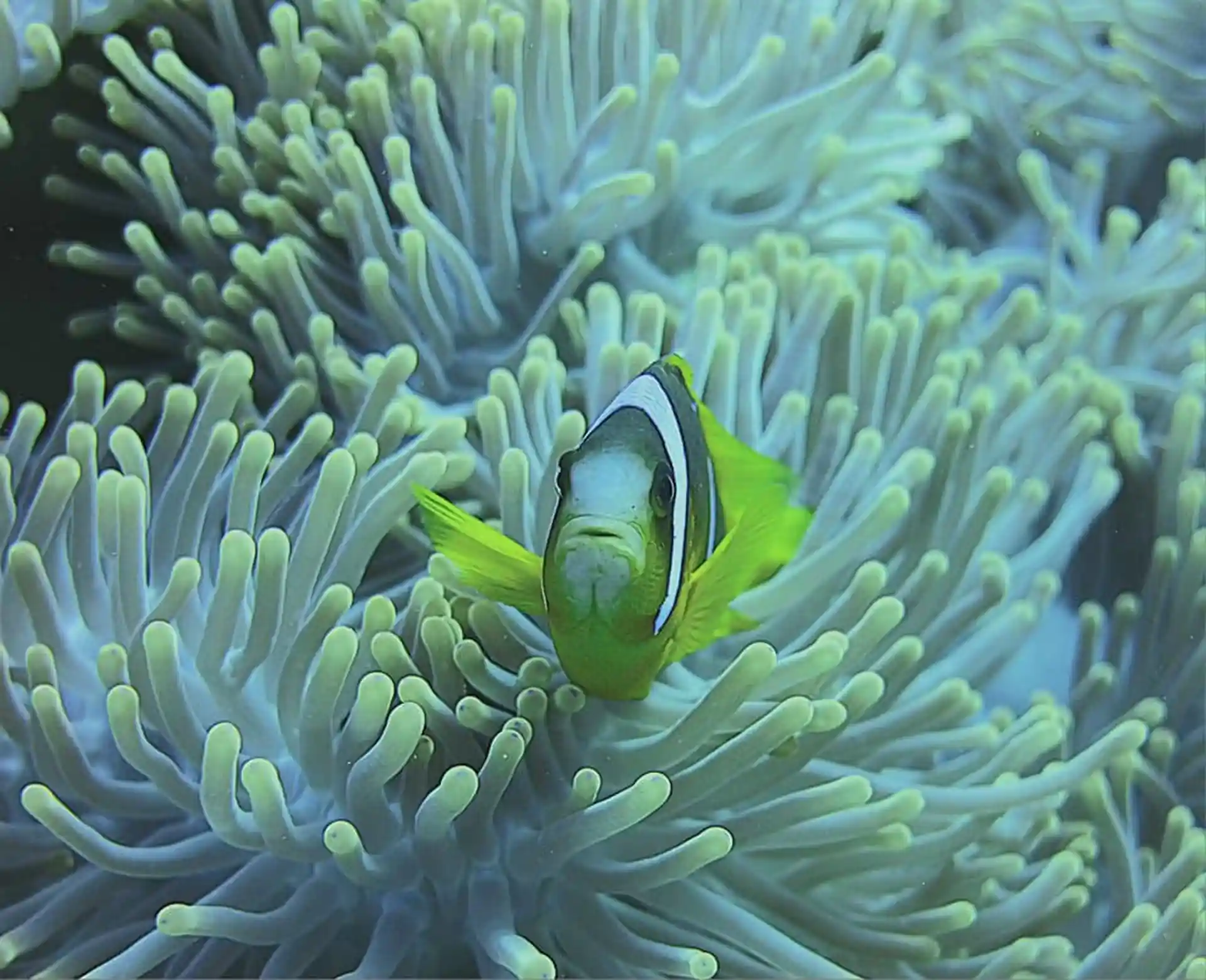 Dive shop photo