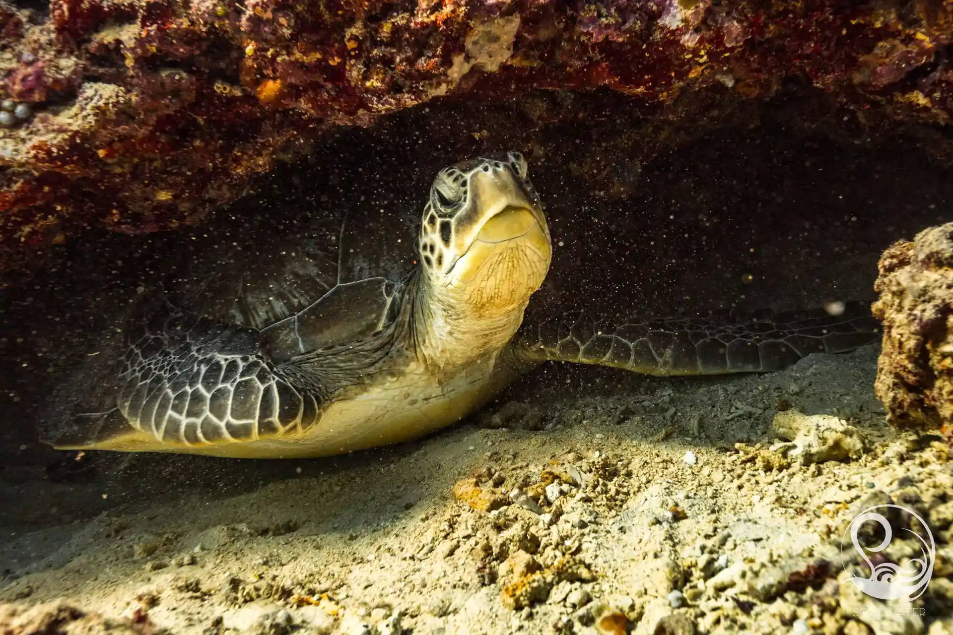 Dive site photo
