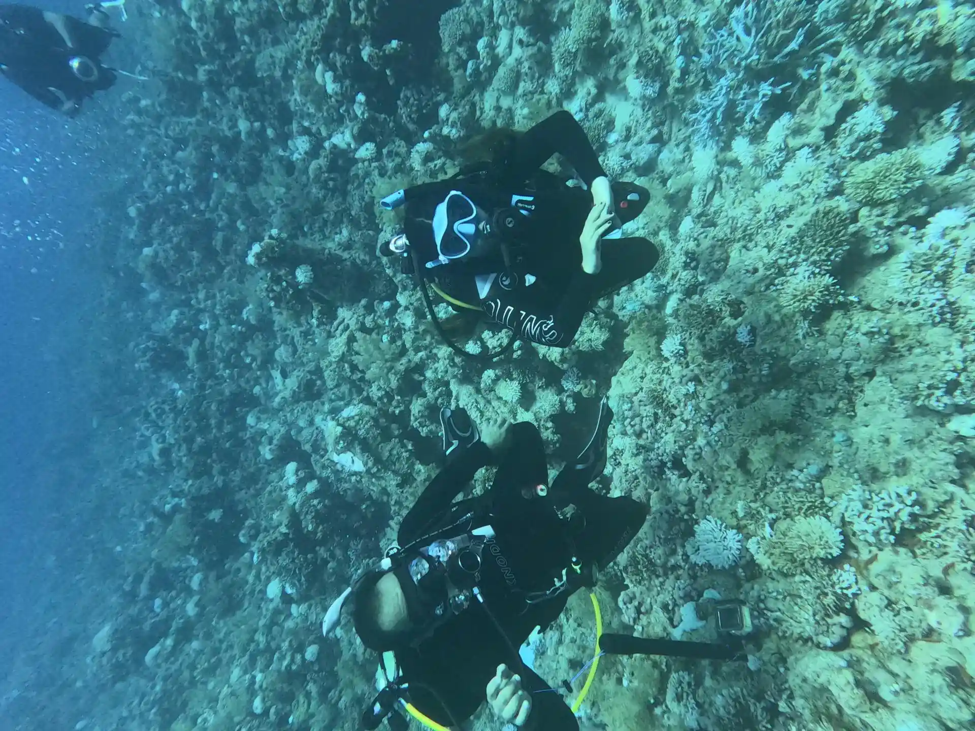 Dive shop photo