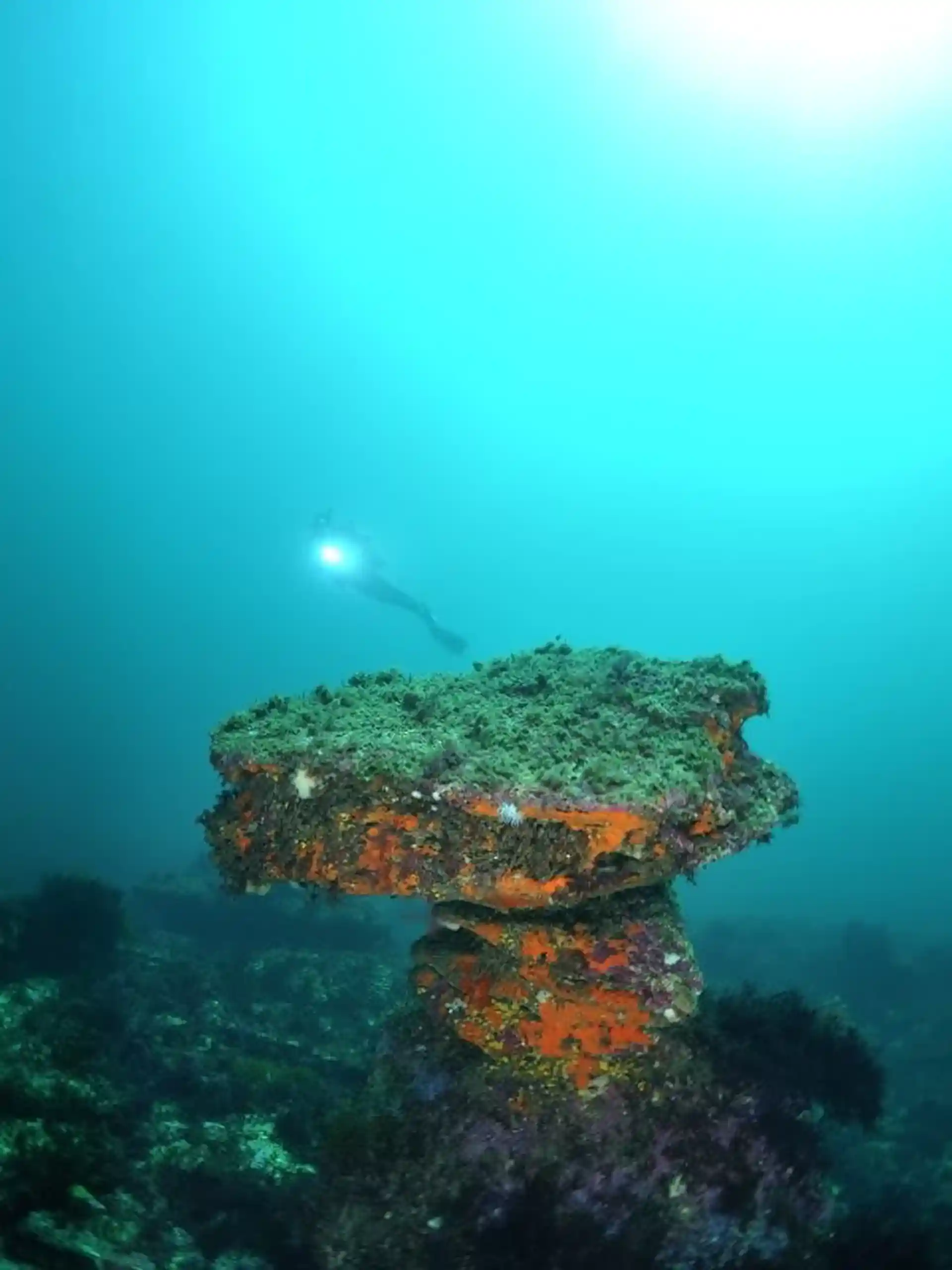 Foto del sitio de buceo