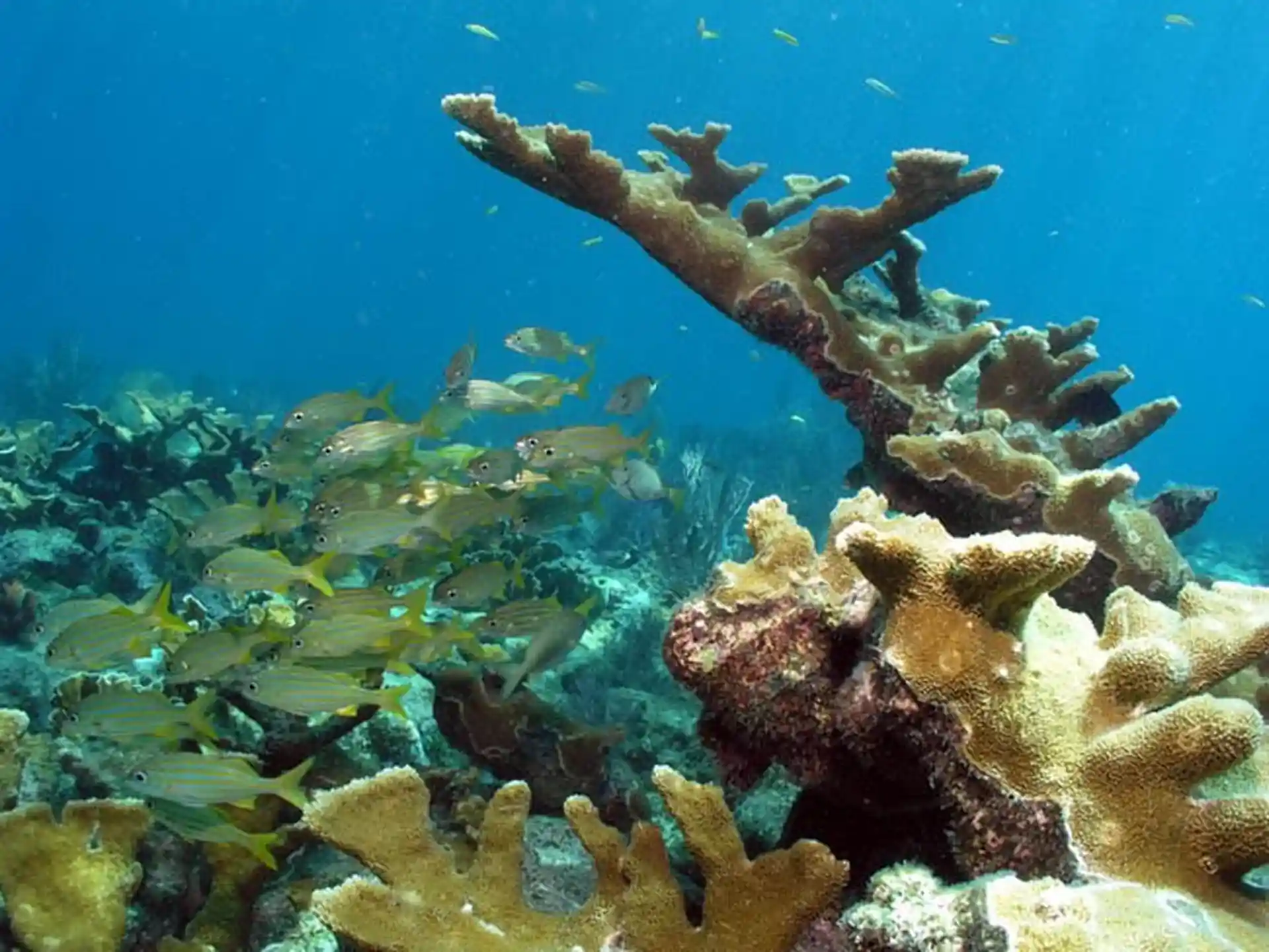 Dive shop photo