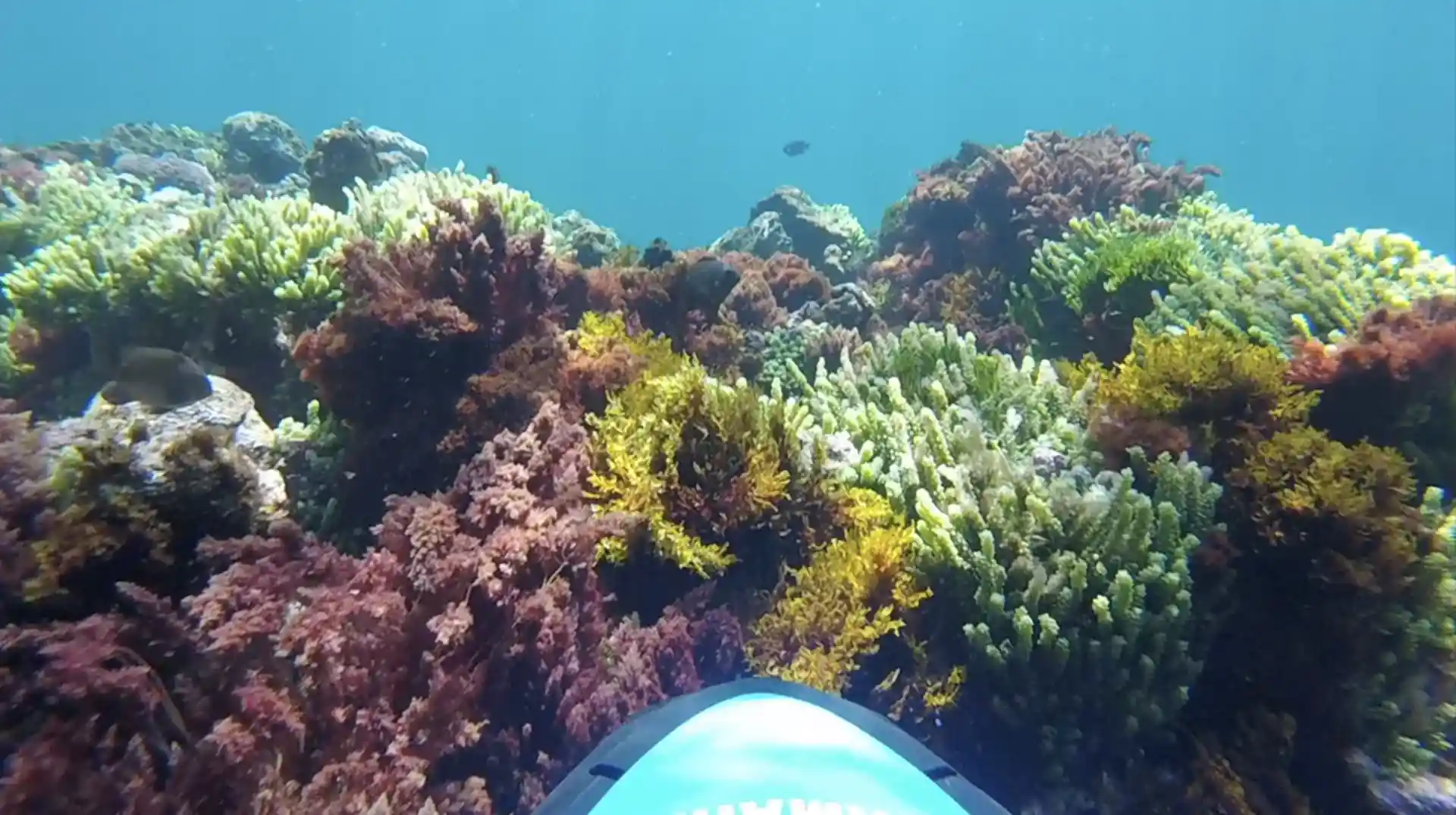 Photo de l'activité