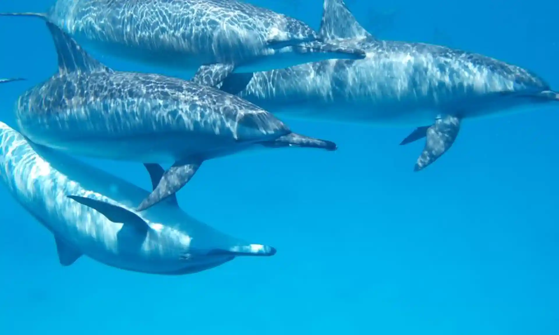 Foto de la actividad