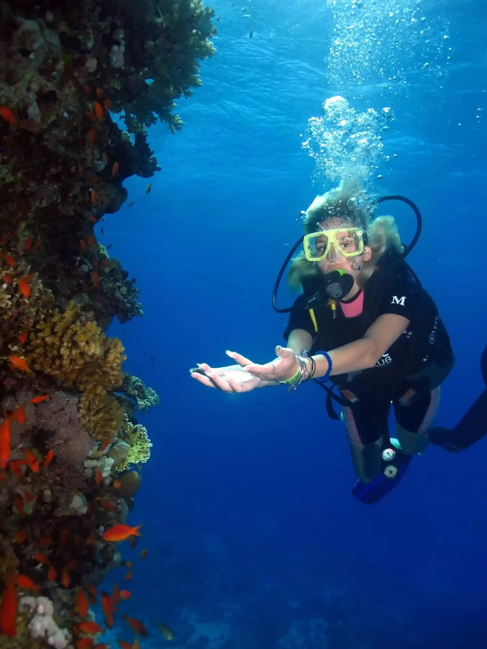 Dive site photo