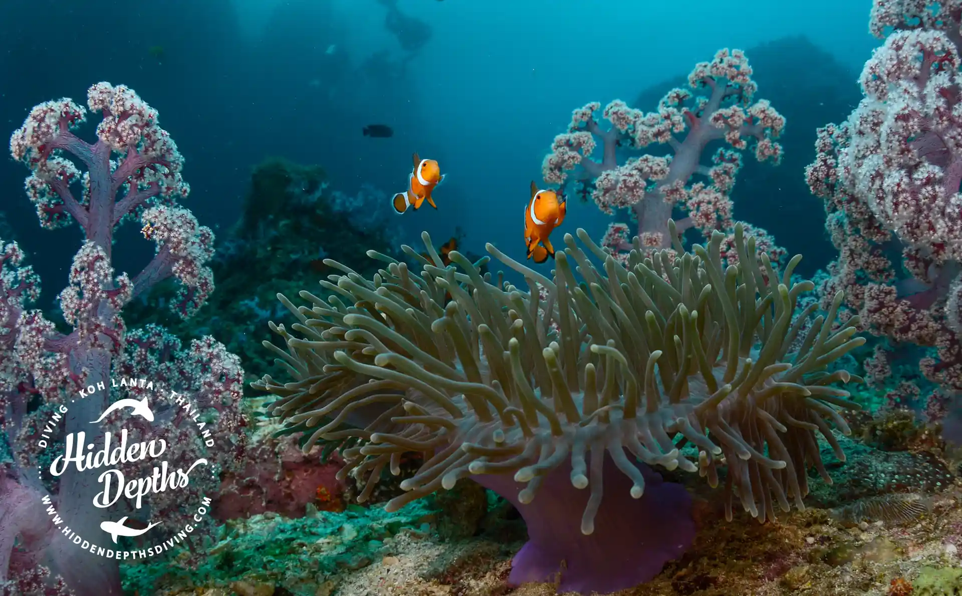 Dive site photo