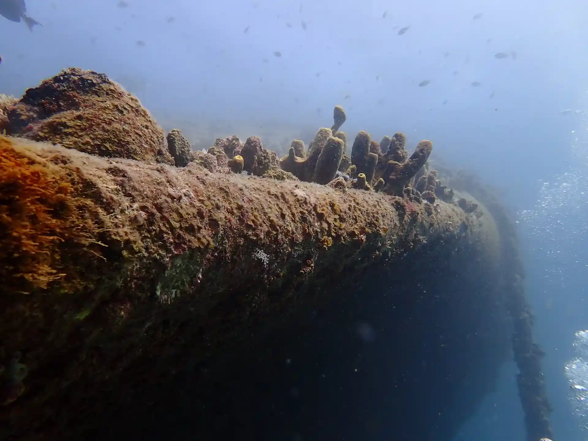 Photo du site de plongée