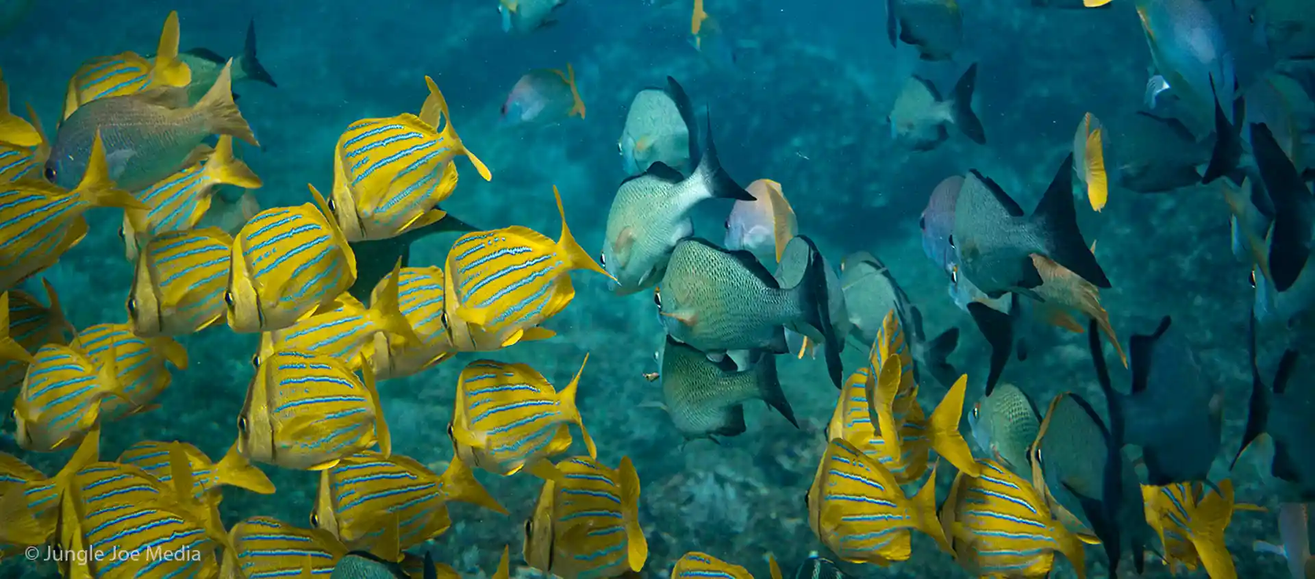 Dive shop photo