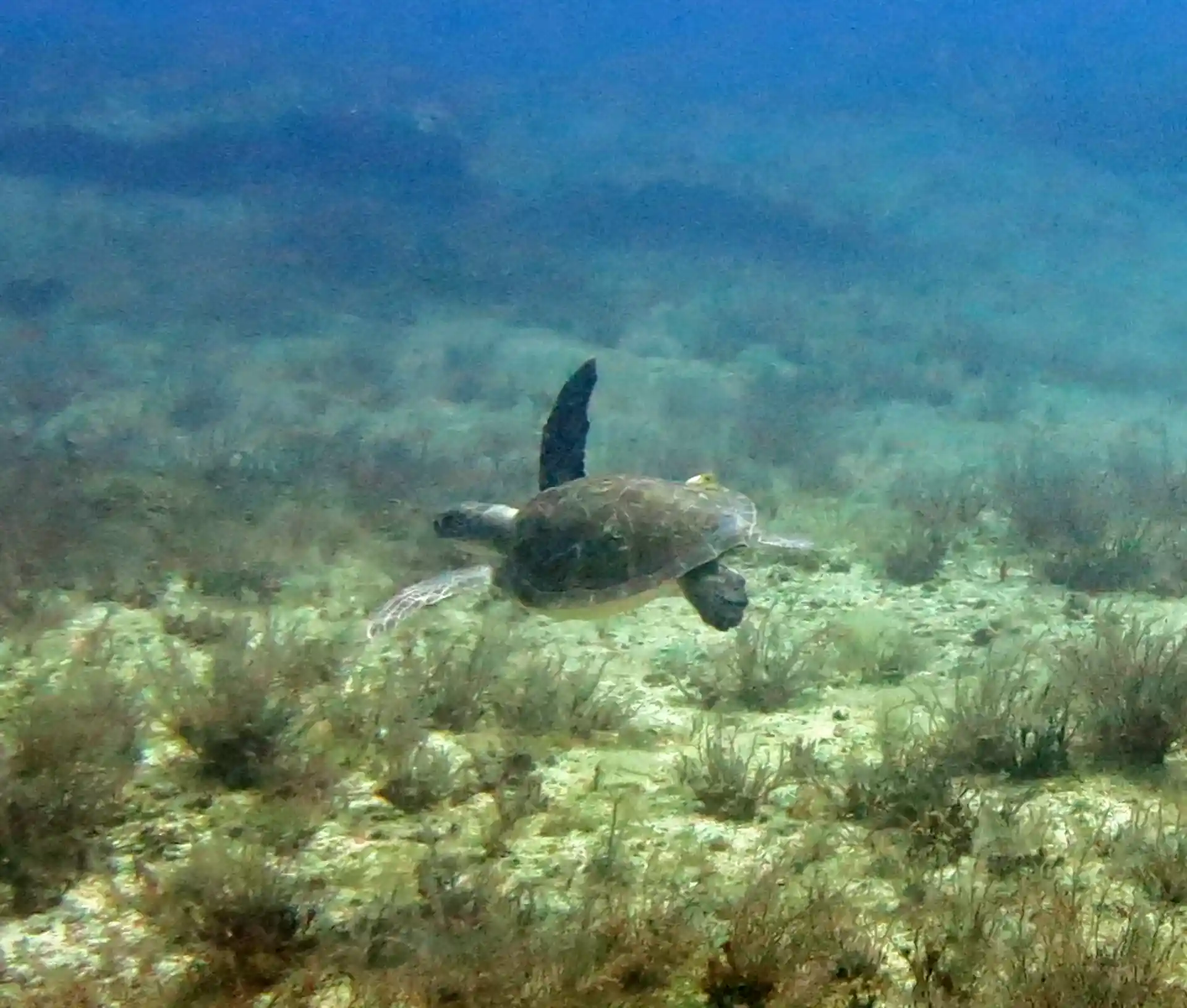Dive site photo