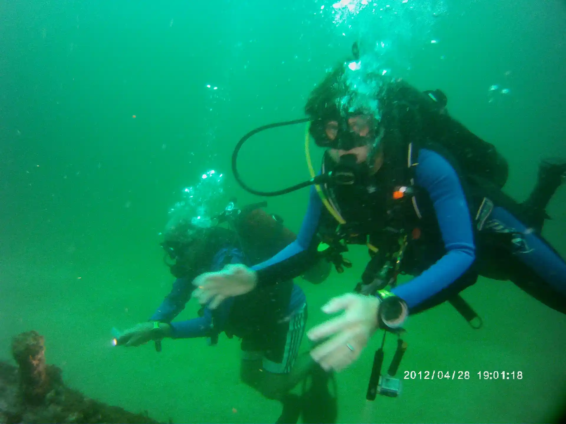 Dive to a max depth of 40ft, never know what you may see