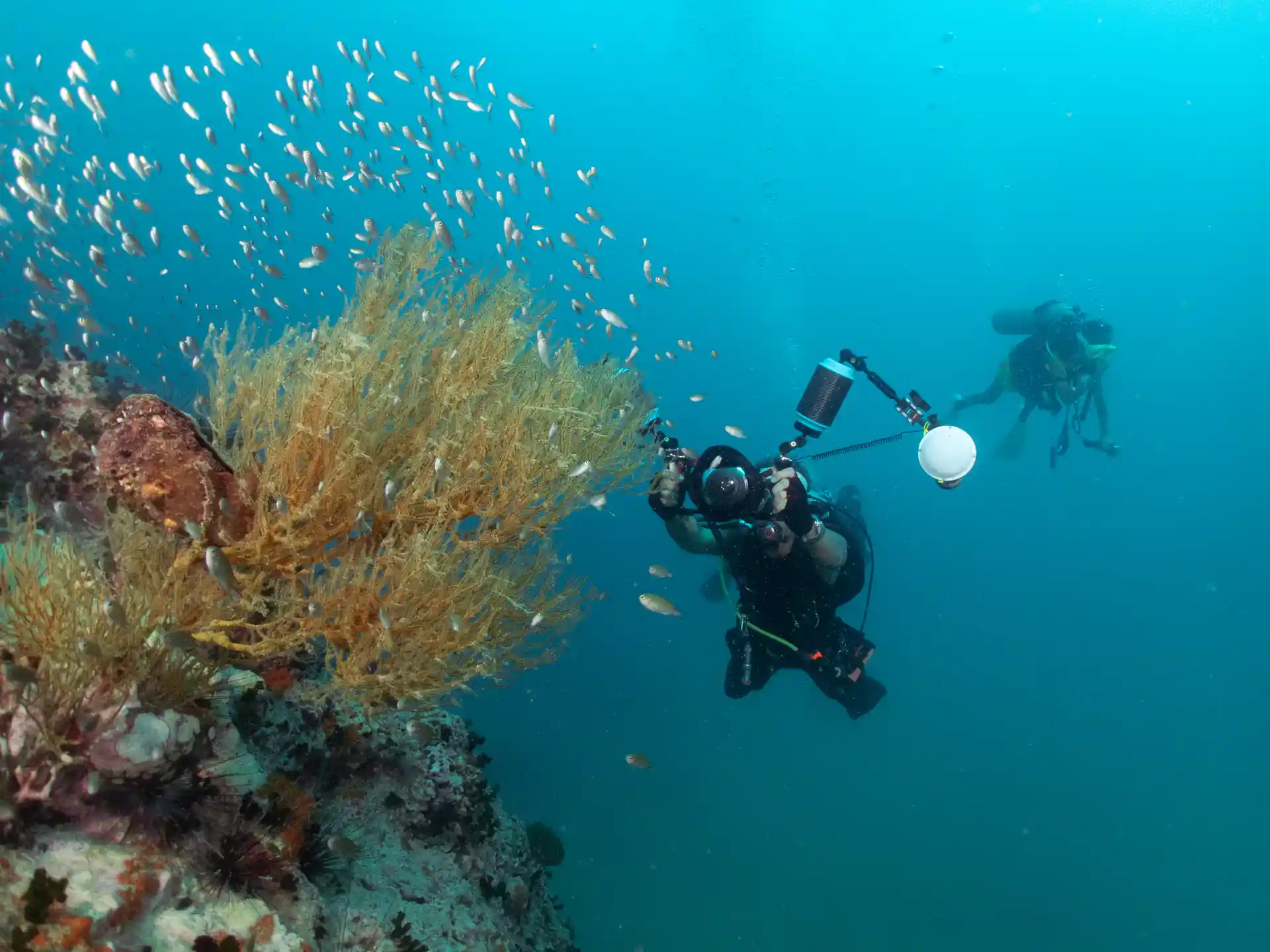 Corso di imaging digitale U/w