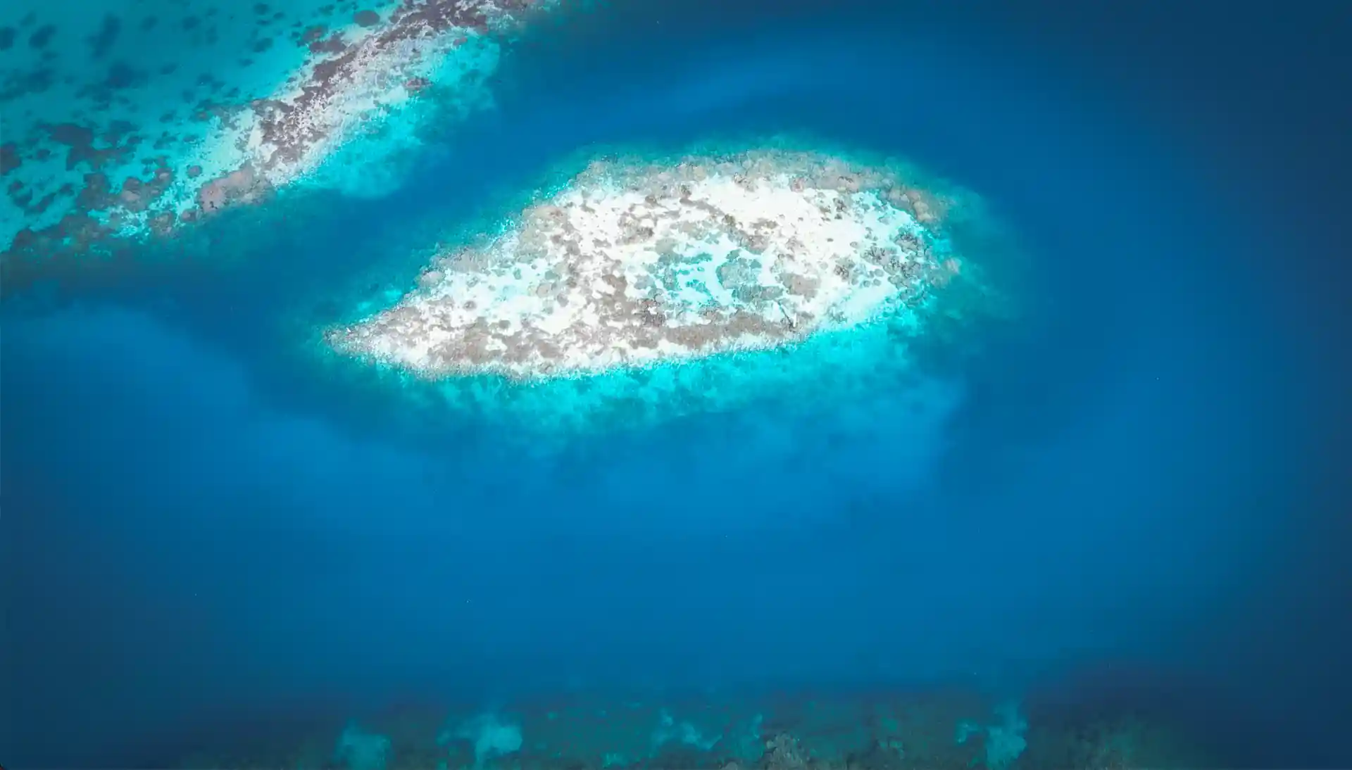 ダイビングサイトの写真