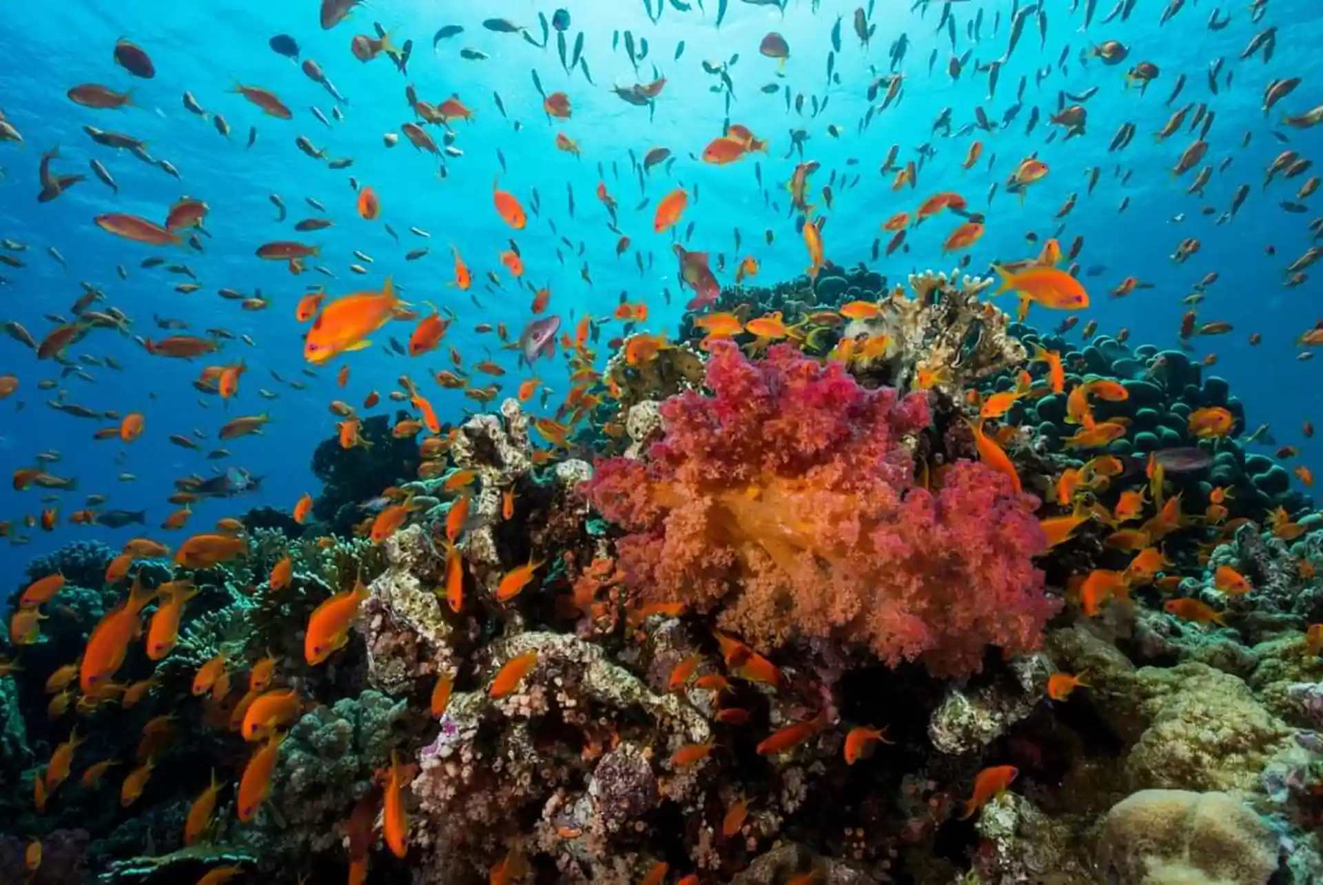 Photo de l'activité