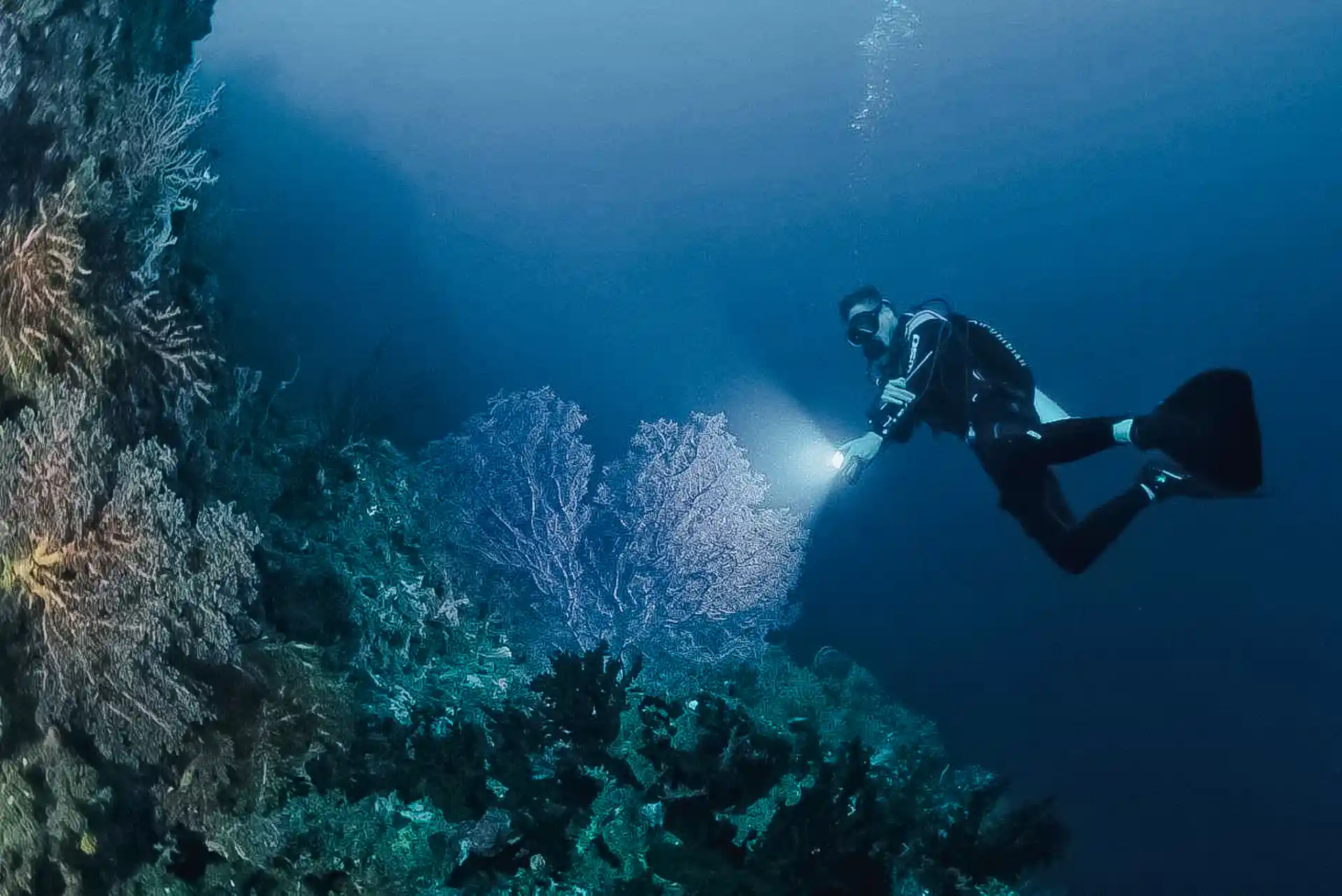 Dive site photo