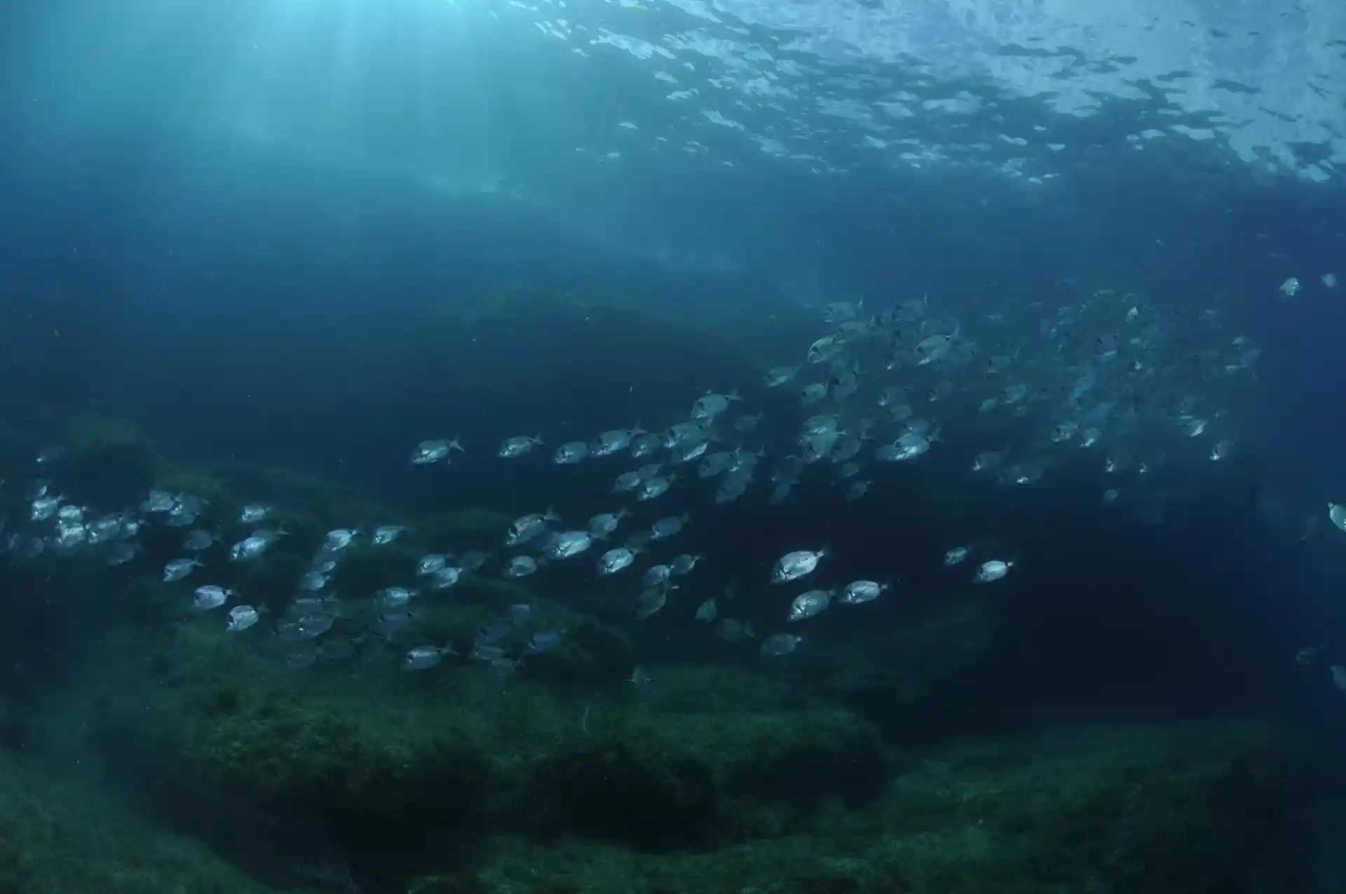 Dive site photo