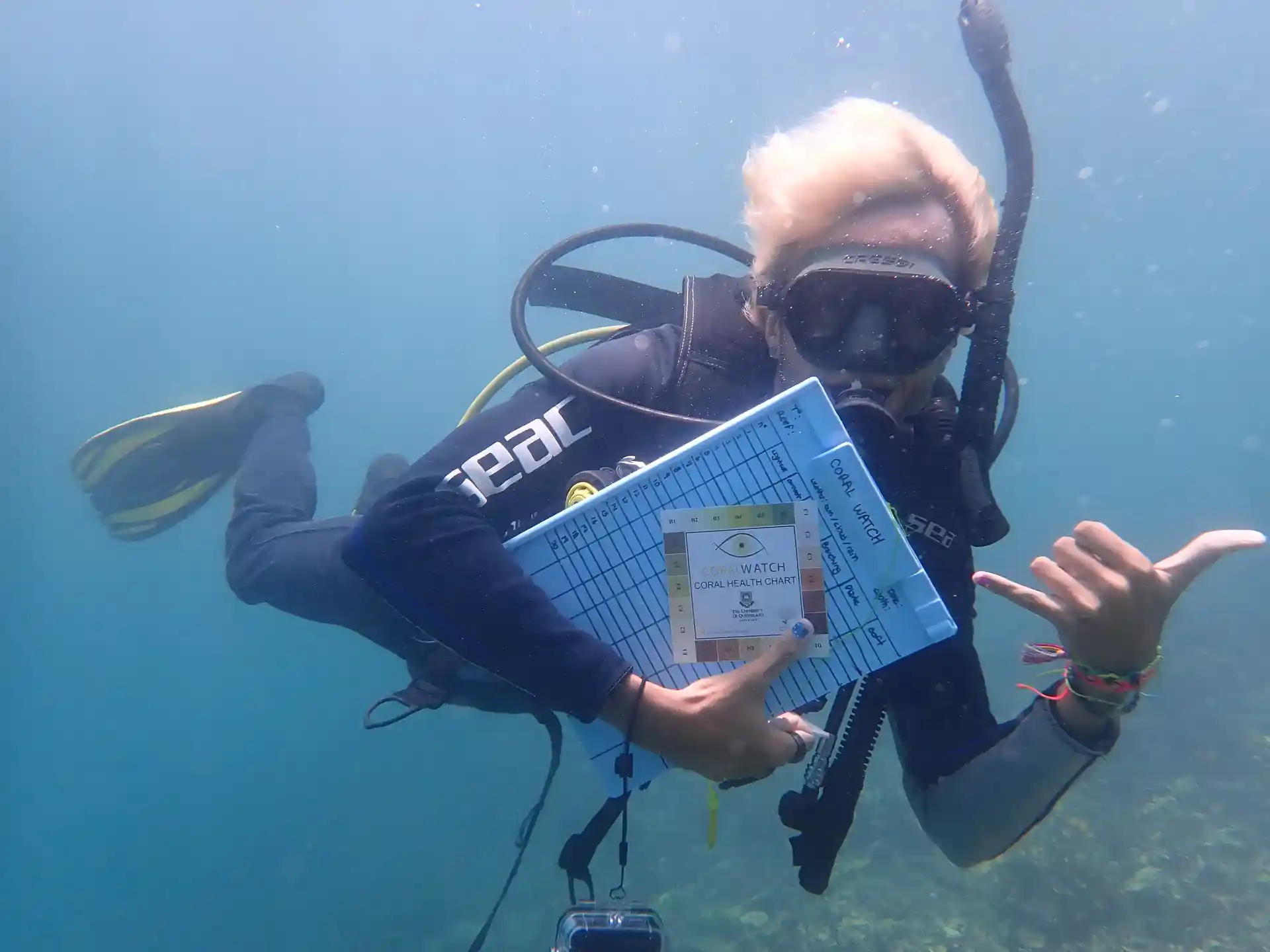 Photo de l'activité