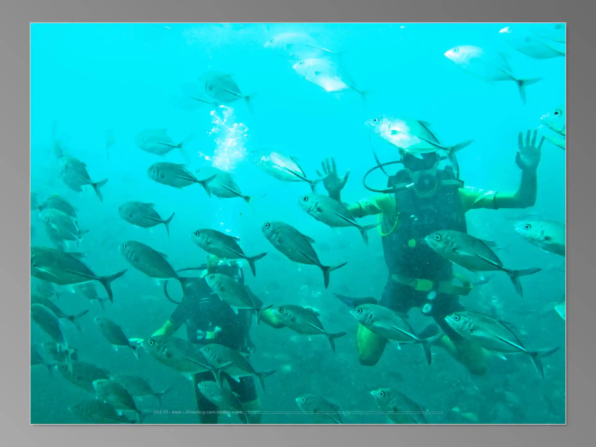 Foto van de duiklocatie