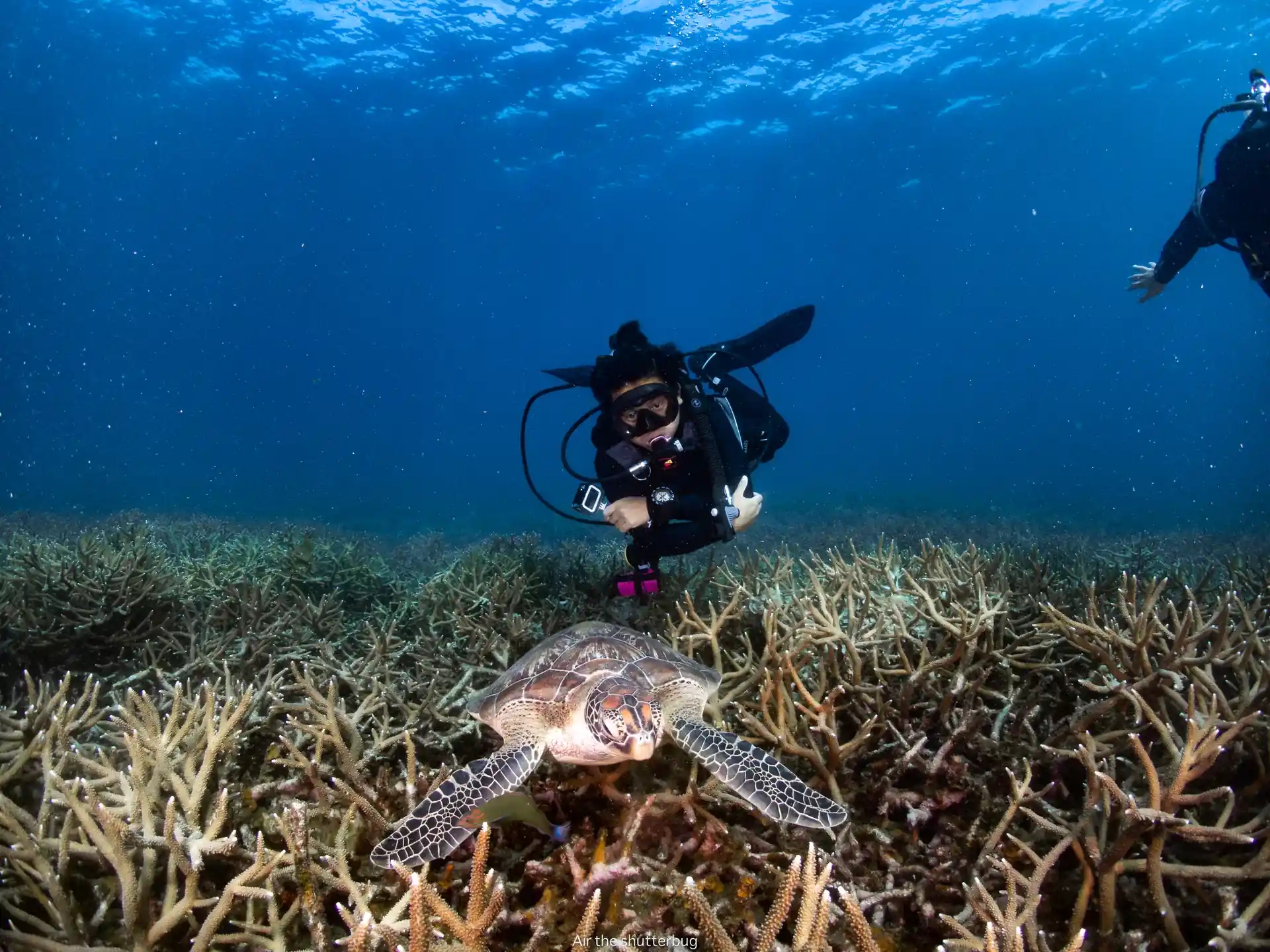 Beautiful underwater world for people to explore.