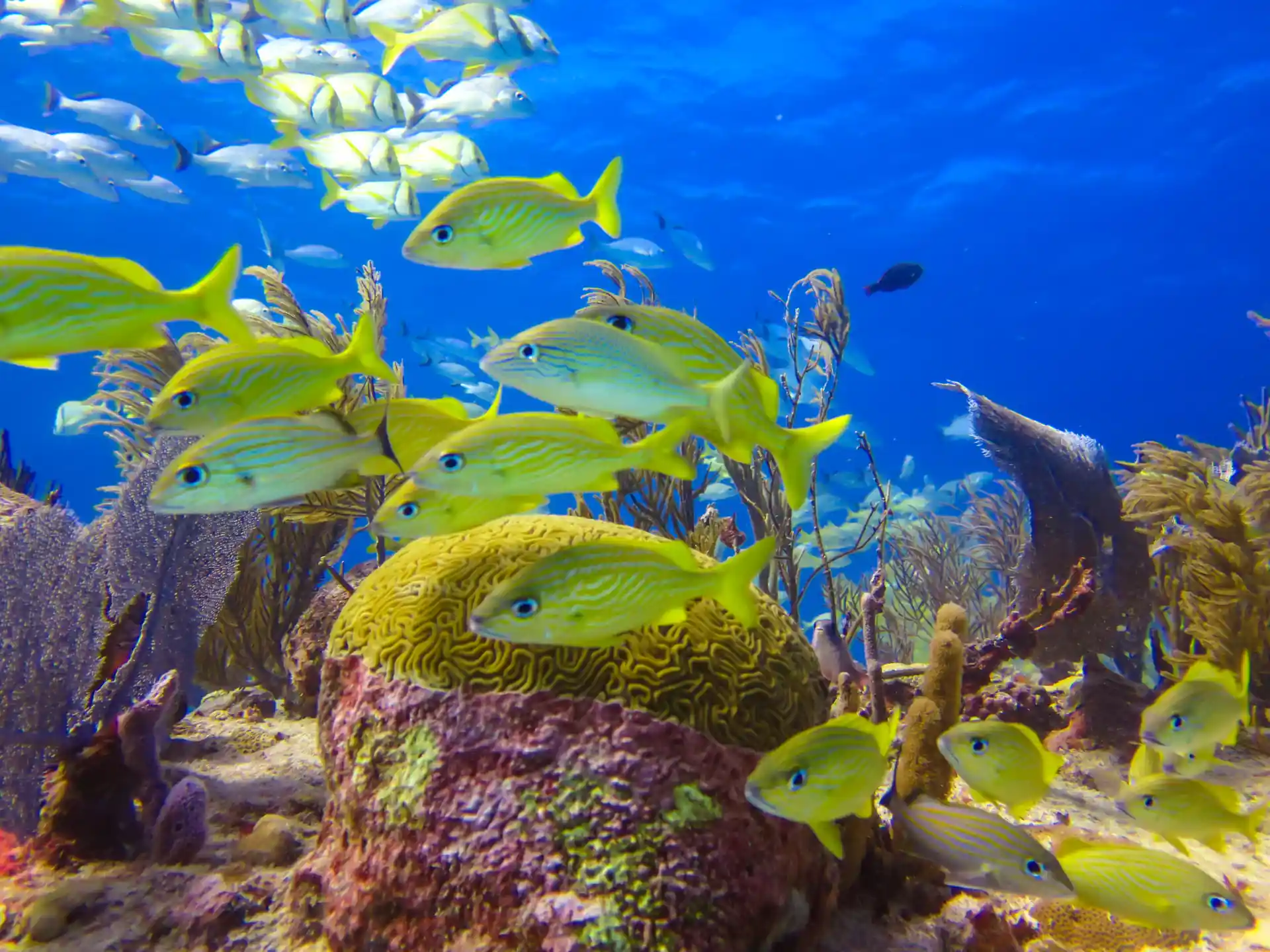 Foto de la actividad