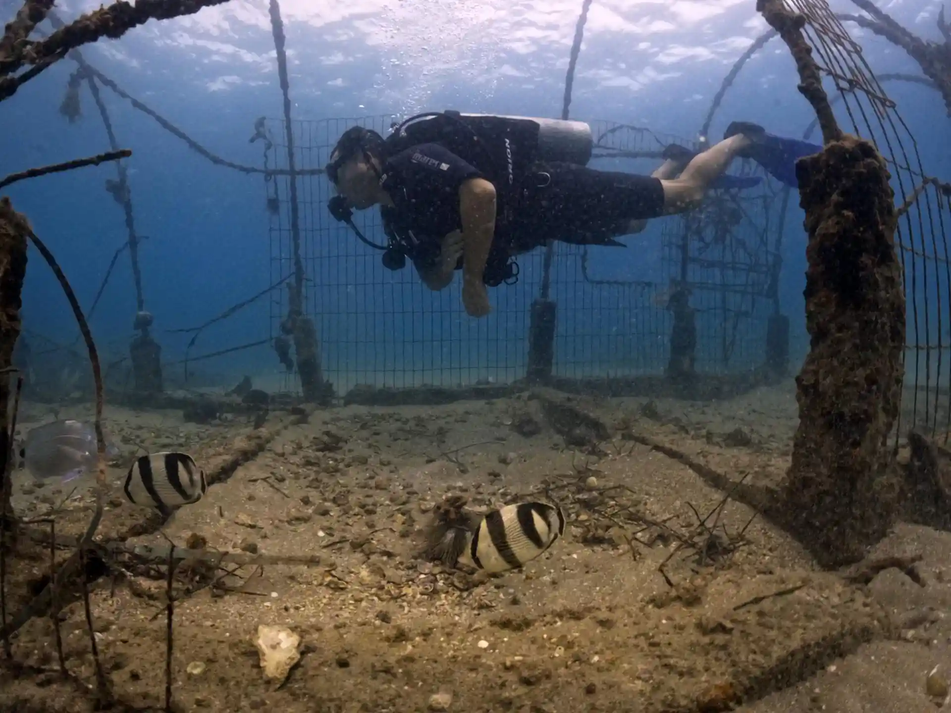 Foto del sitio de buceo