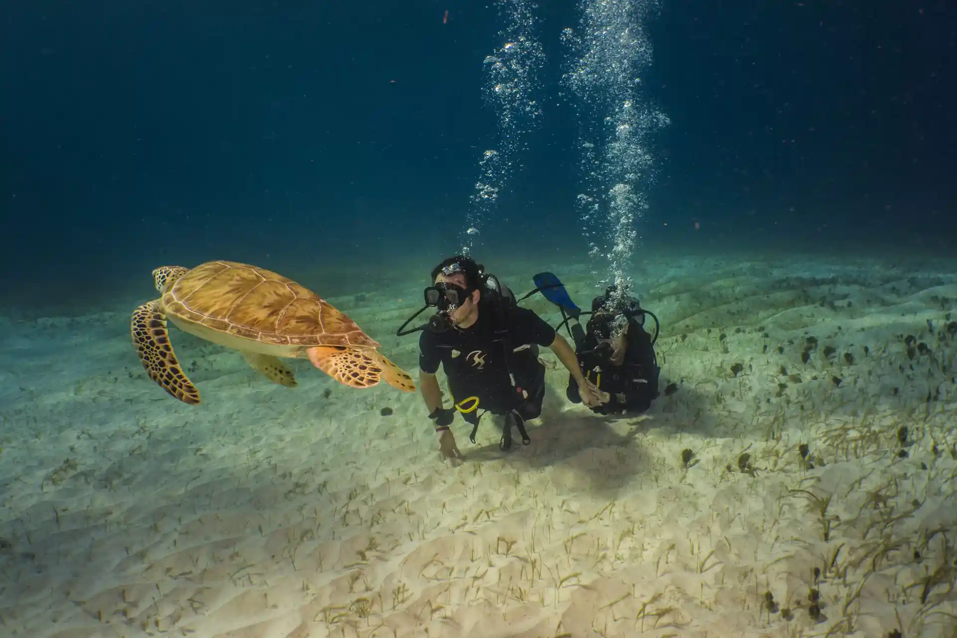 ダイビングサイトの写真