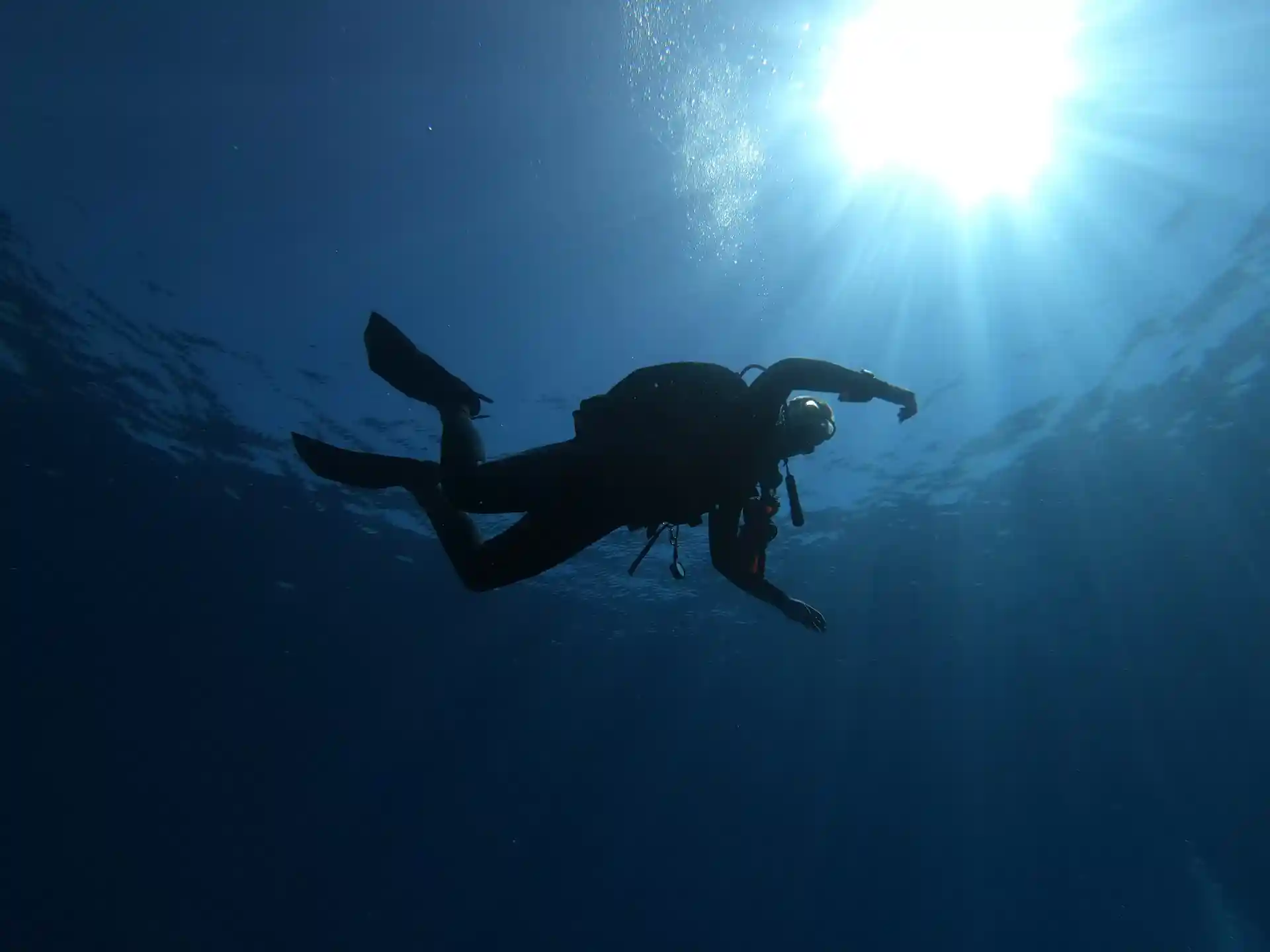 Discover Scuba Diving with Coral Bay Divers. Pure happiness