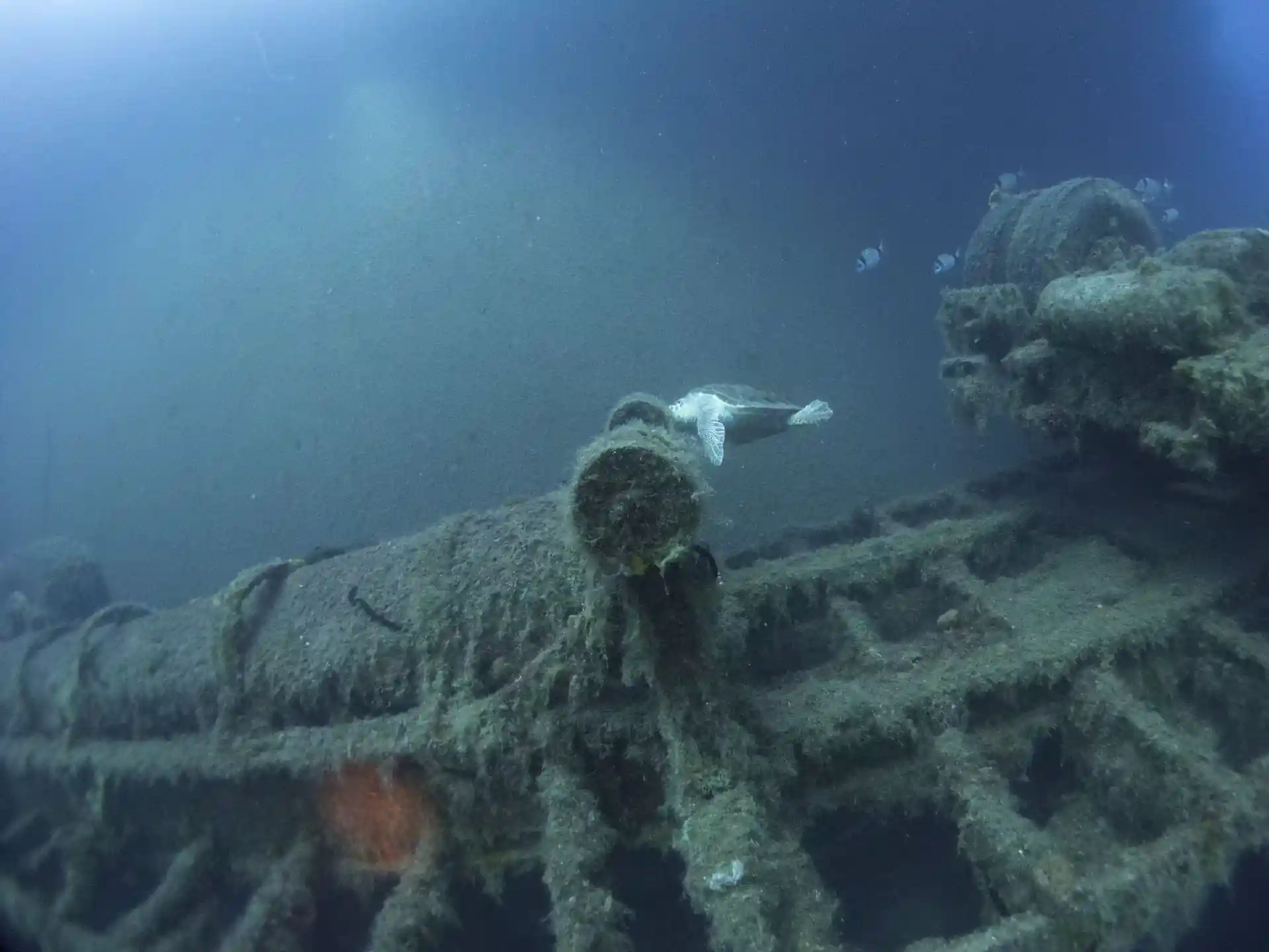 Dive site photo