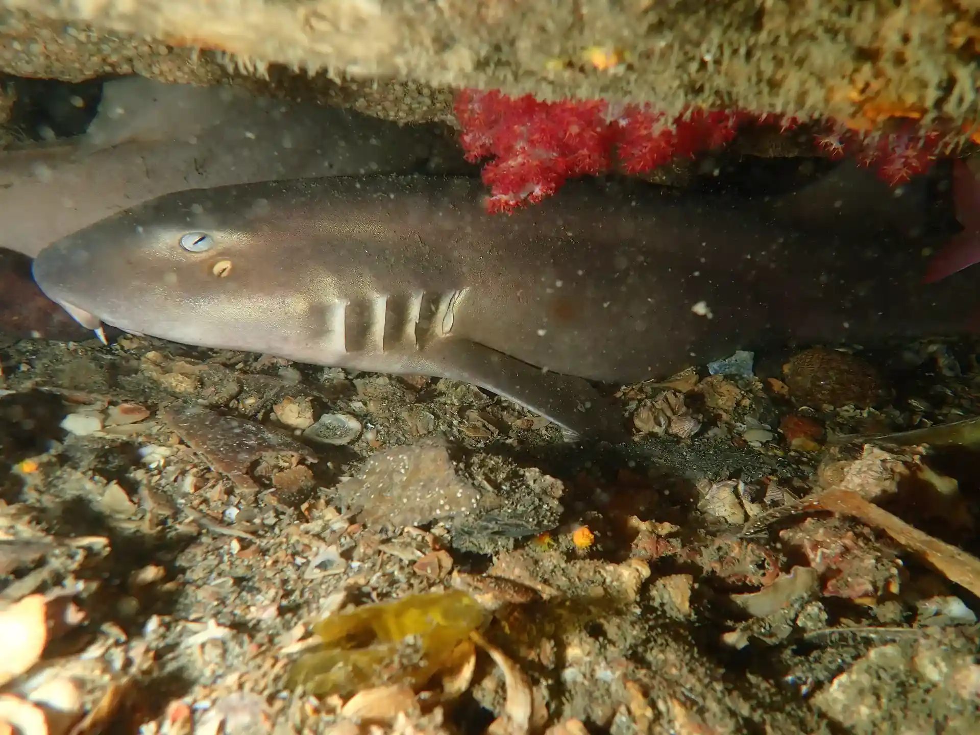 Dive site photo