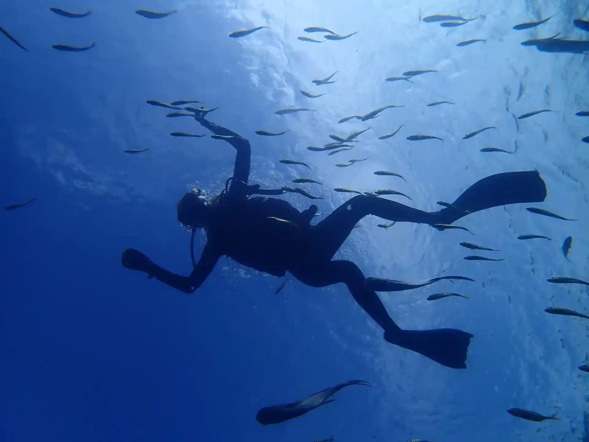 Dive site photo