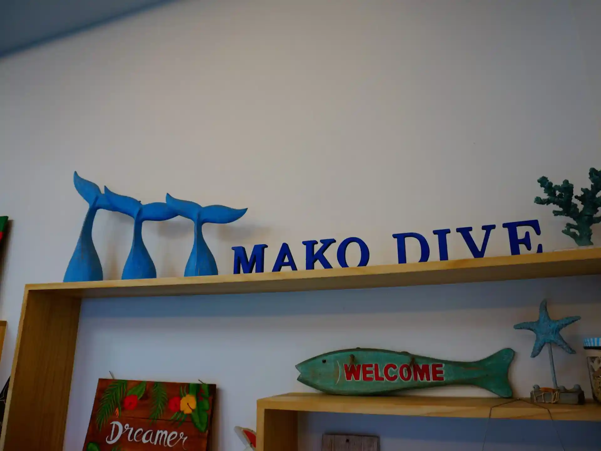 Dive shop photo